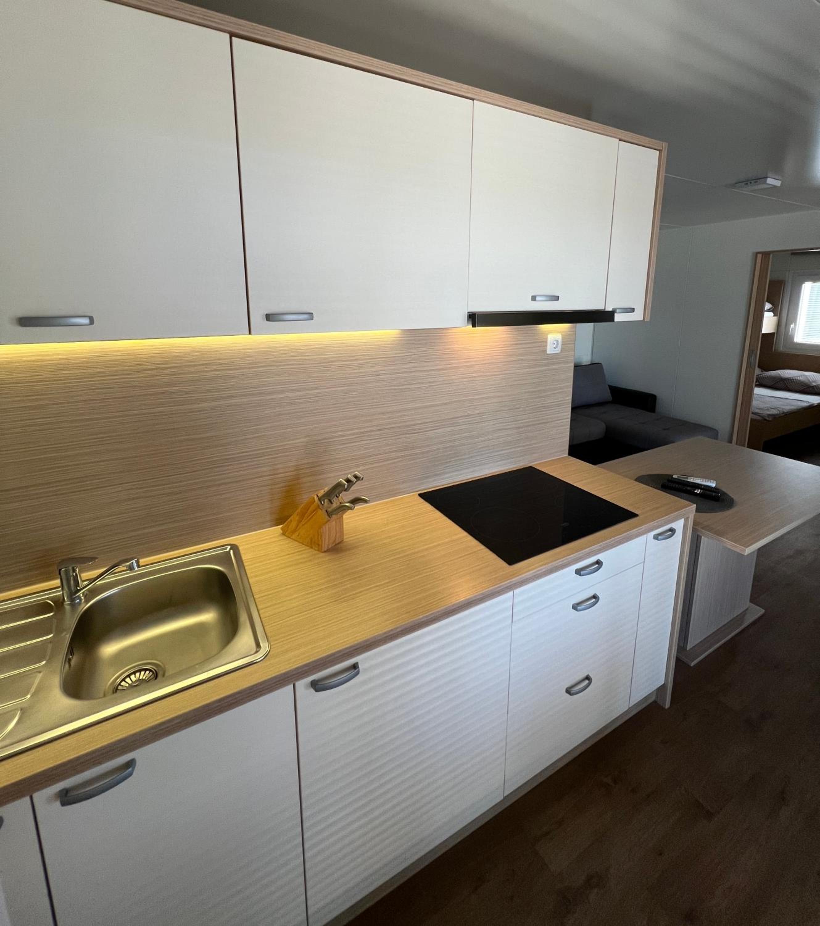 Mobile Home photo 3