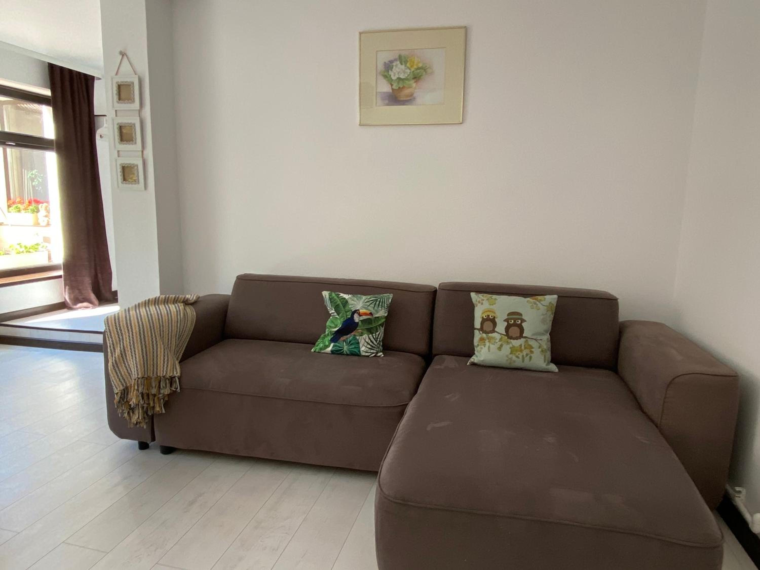Apartment - Photo 6