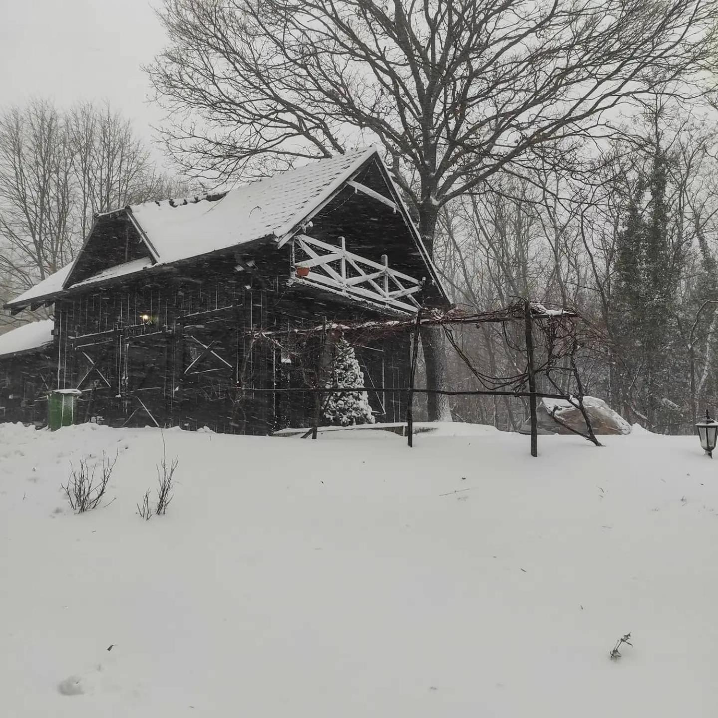Two-Bedroom Chalet photo 2