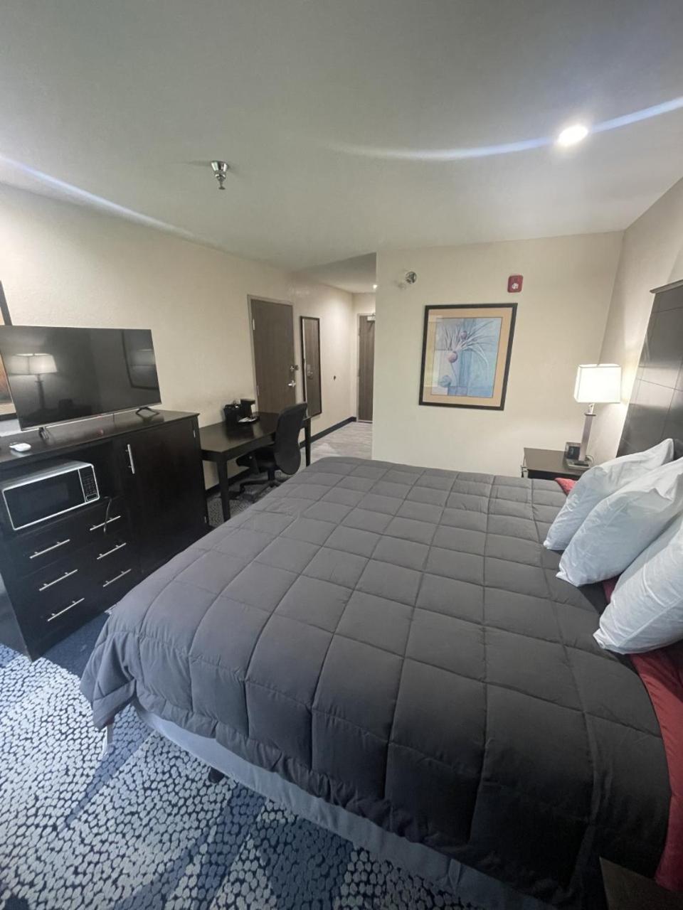 Single Room - Disability Access photo 2