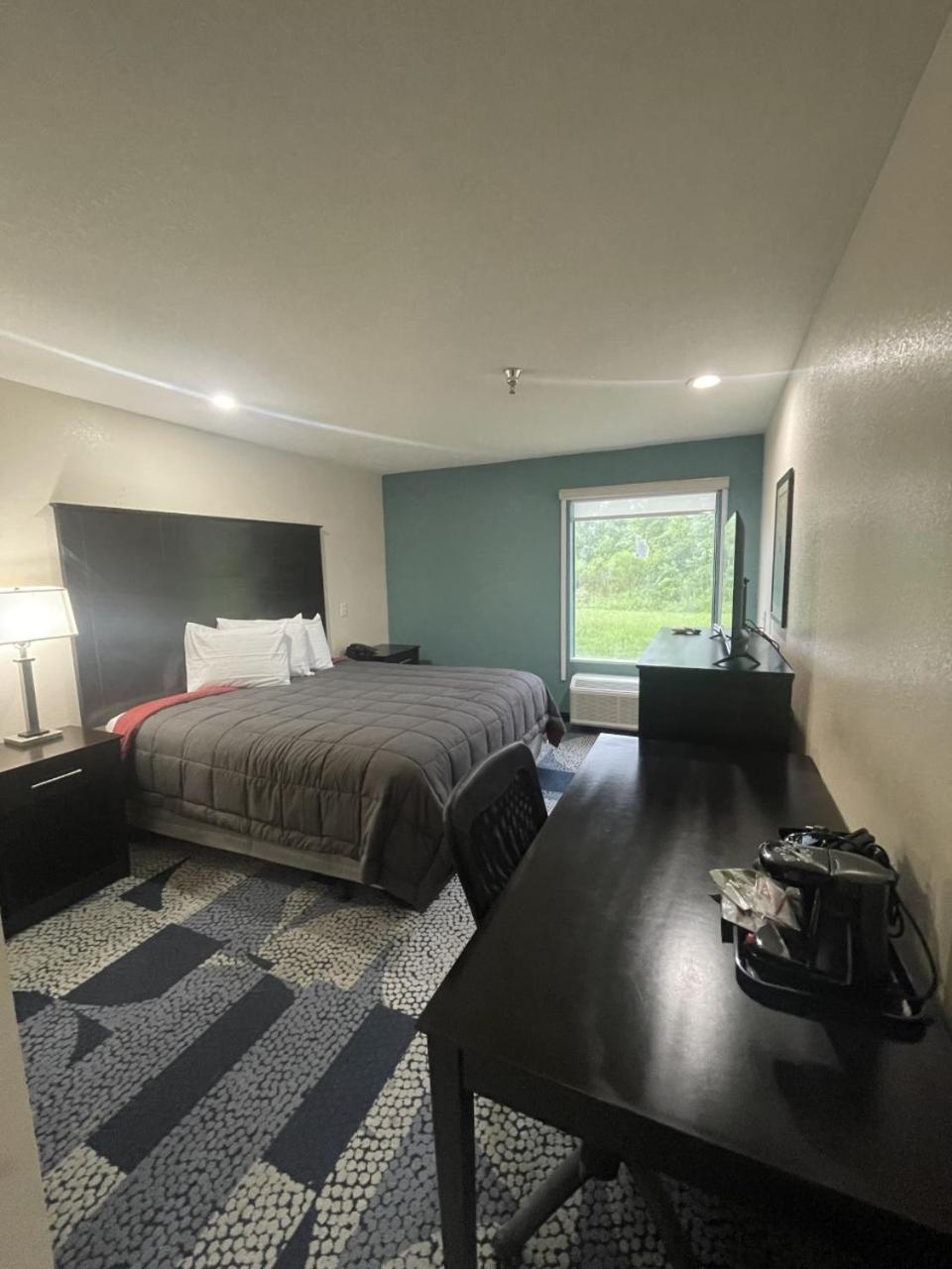 Single Room - Disability Access photo 1