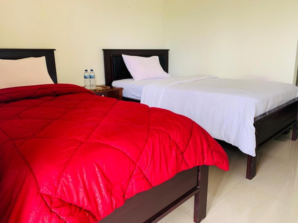 Standard Double Room photo 2