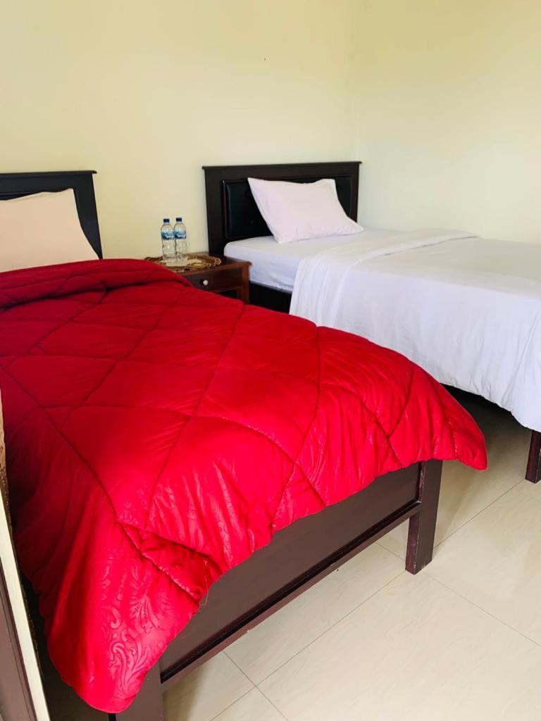 Standard Double Room photo 3