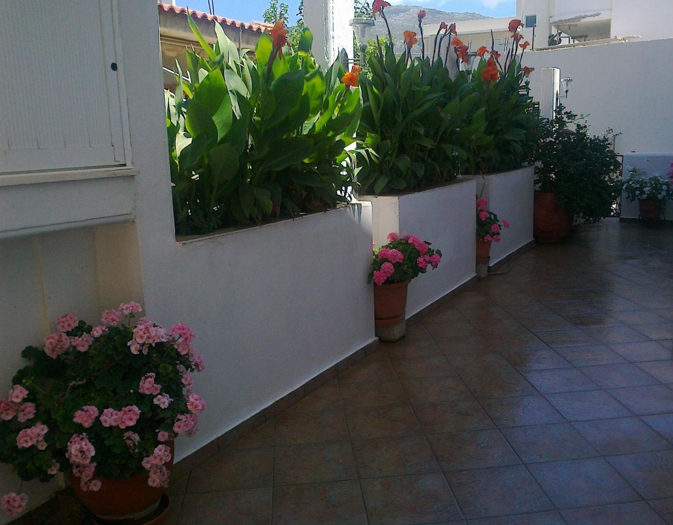 Double Room with Garden View photo 3