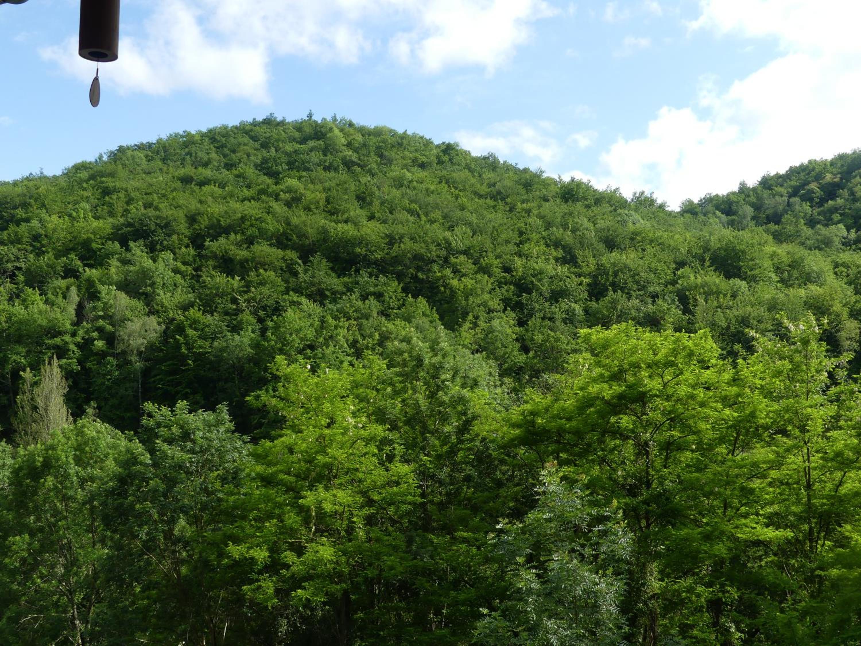 King Room with Mountain View - Photo 10