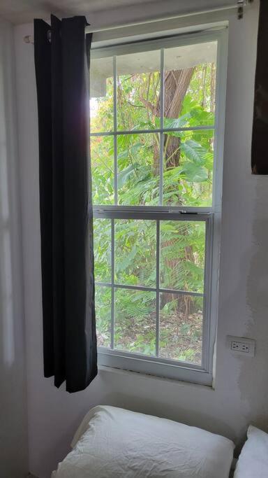 One-Bedroom Apartment - Photo 13