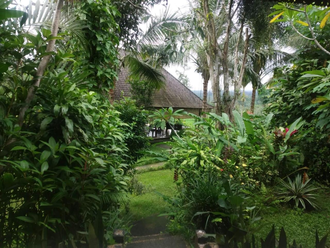 Superior Double Room with Garden View - Photo 2