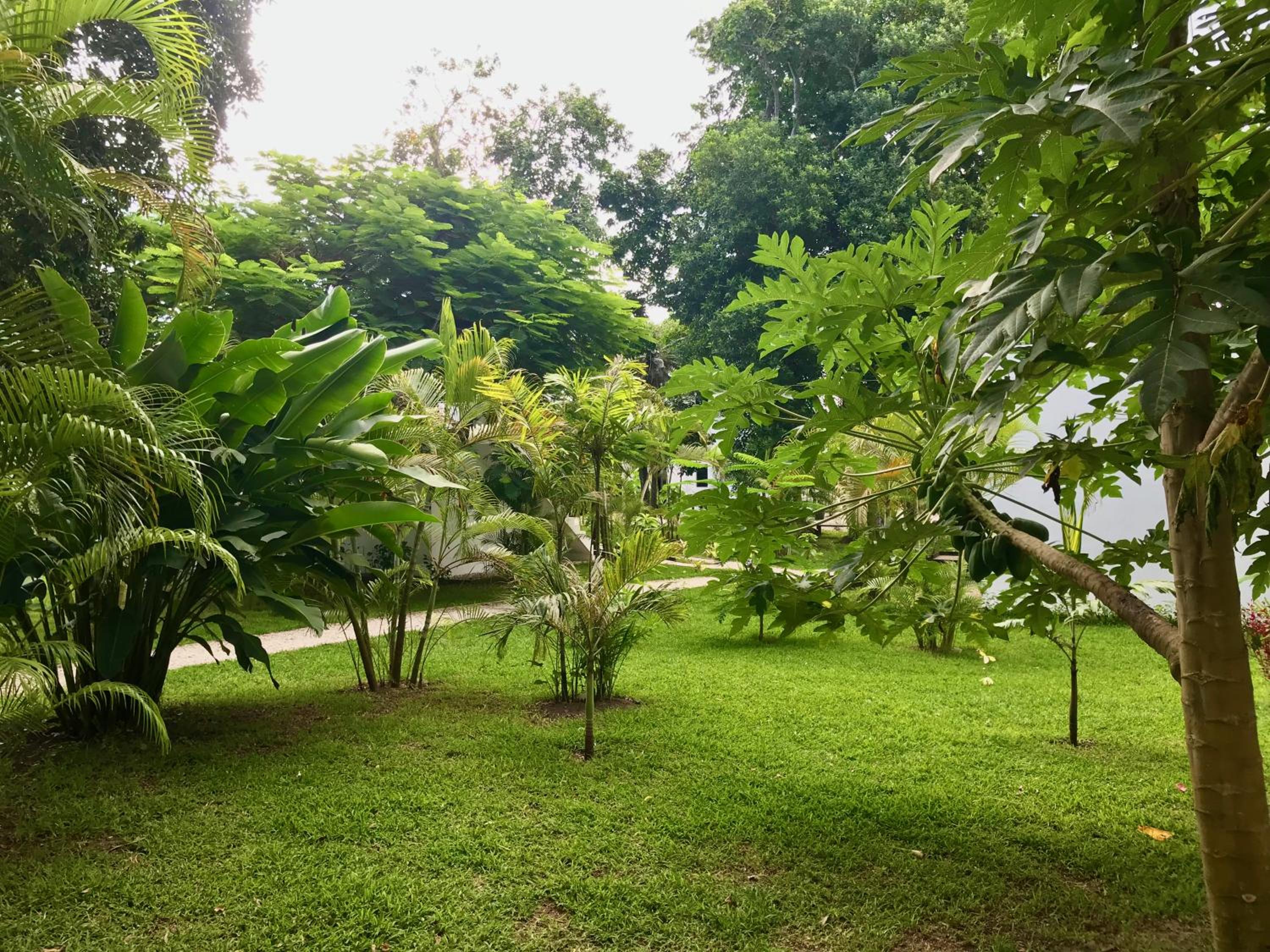 Bungalow photo 3