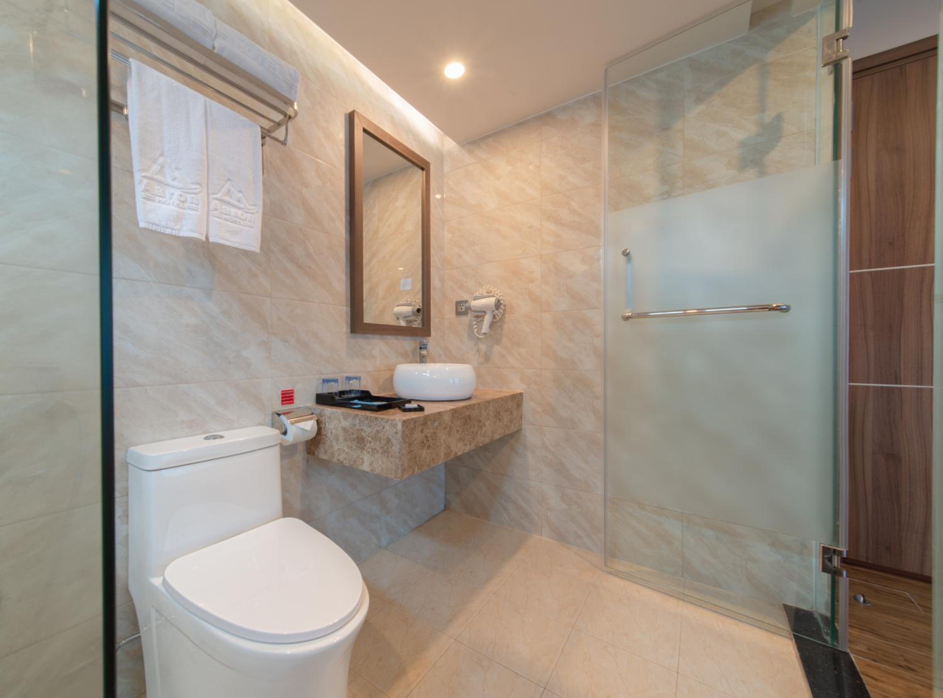 Deluxe Double or Twin with City View - Photo 6