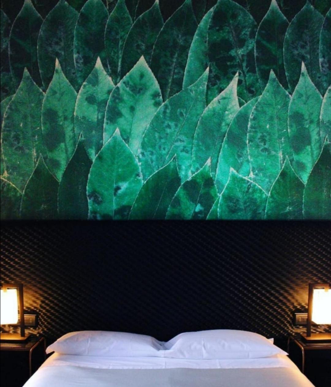 Deluxe Single Room - Ground Floor