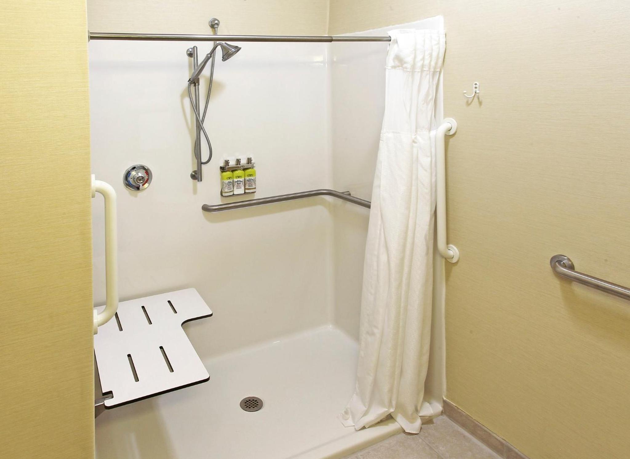 King Room - Disability Access Roll in Shower