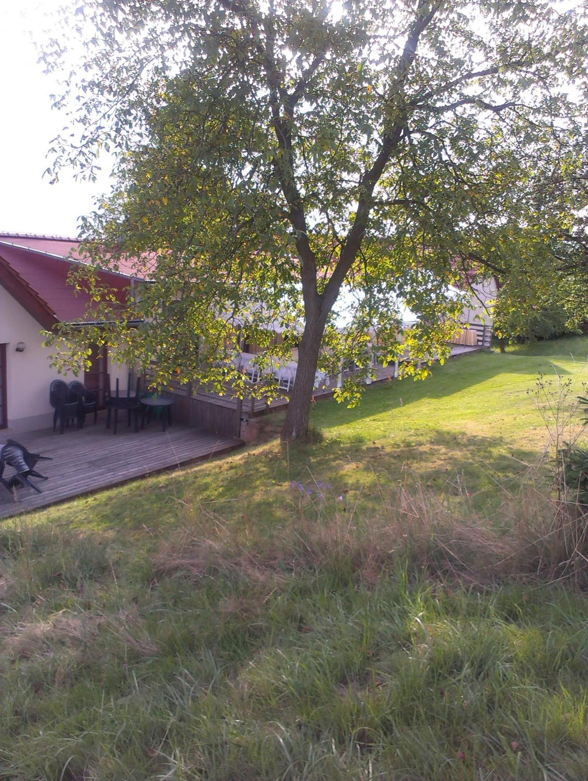 Apartment with Terrace photo 2