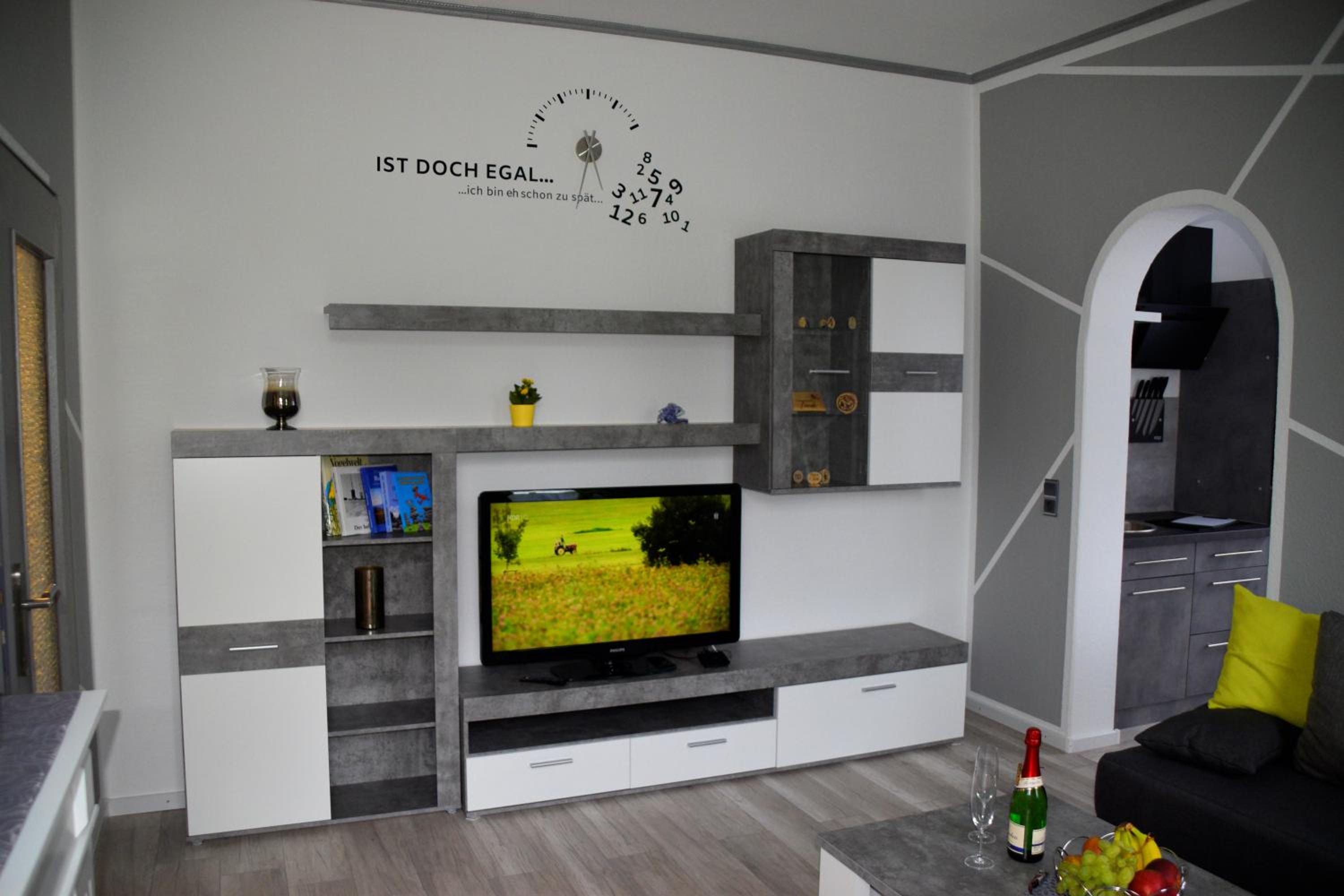 One-Bedroom Apartment photo 3
