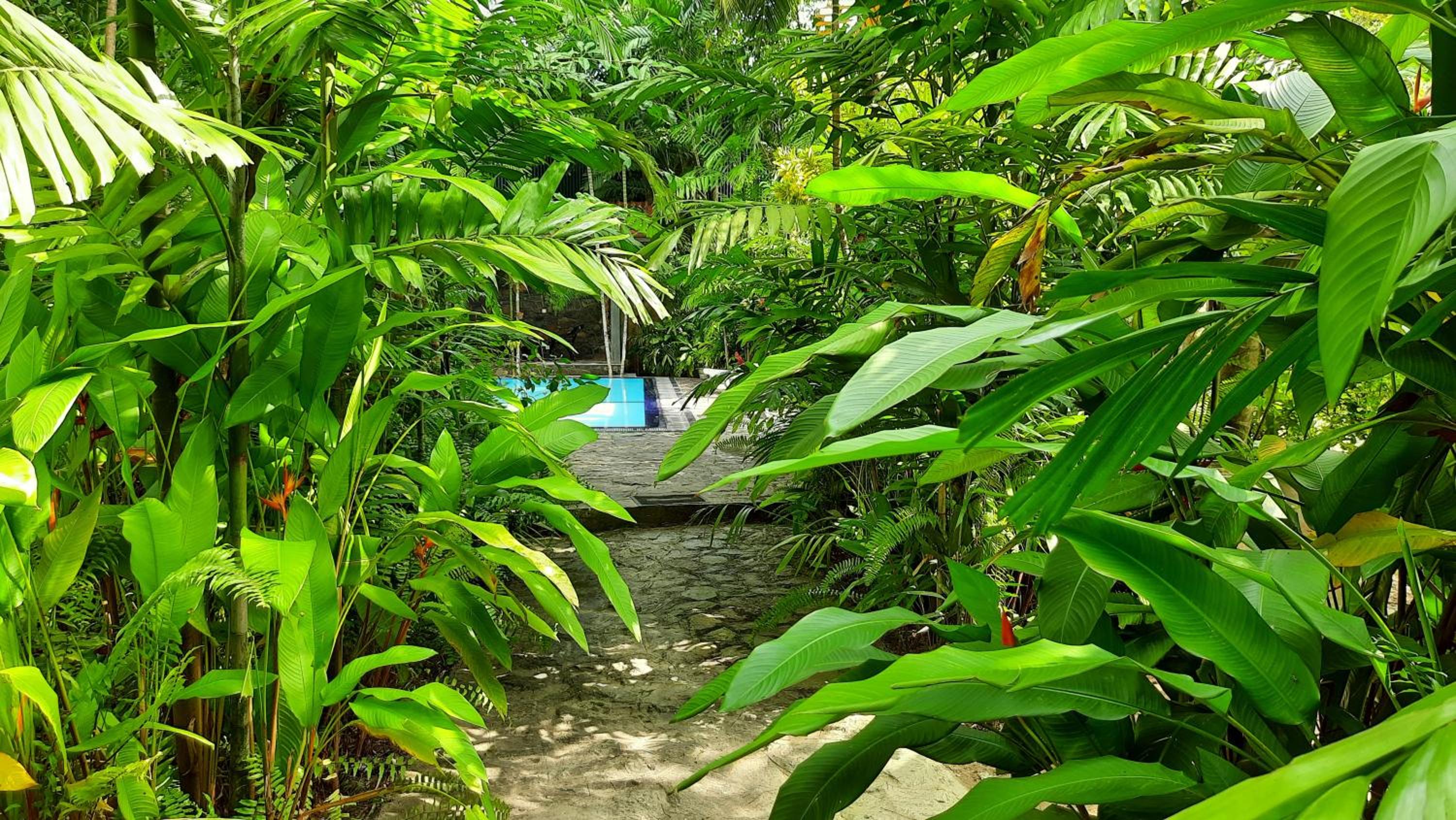 Superior Villa photo 3