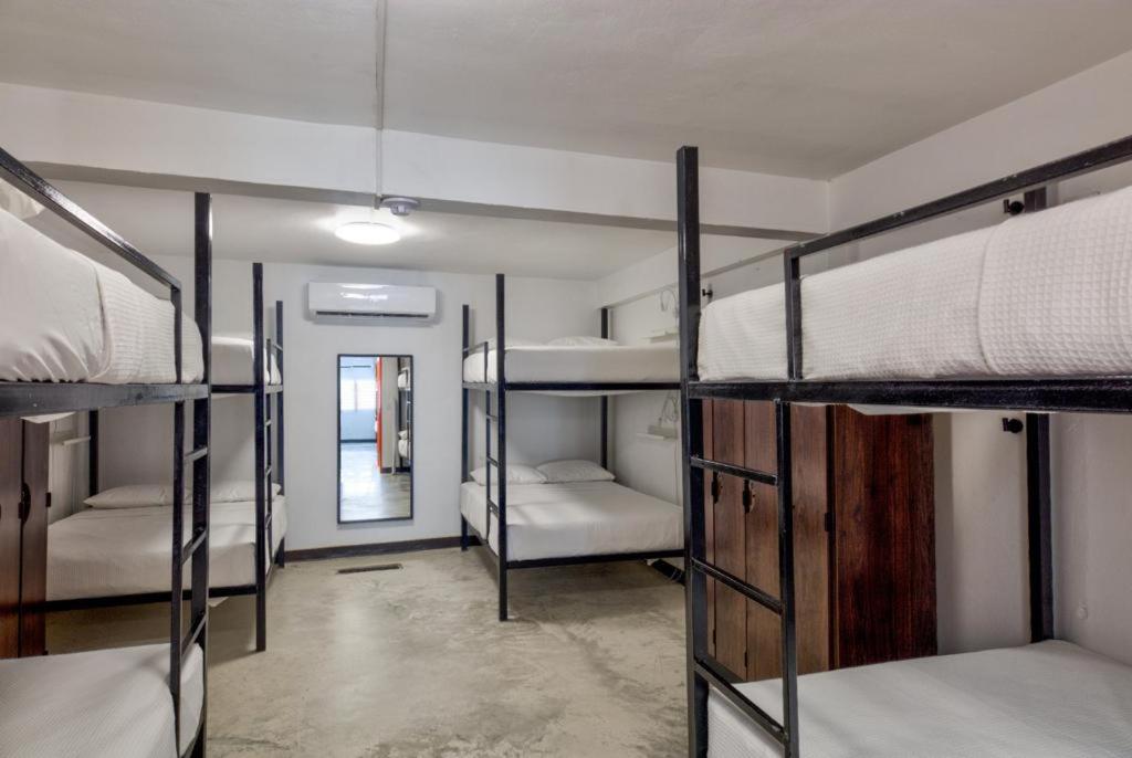 Bed in 6-Bed Female Dormitory Room photo 3