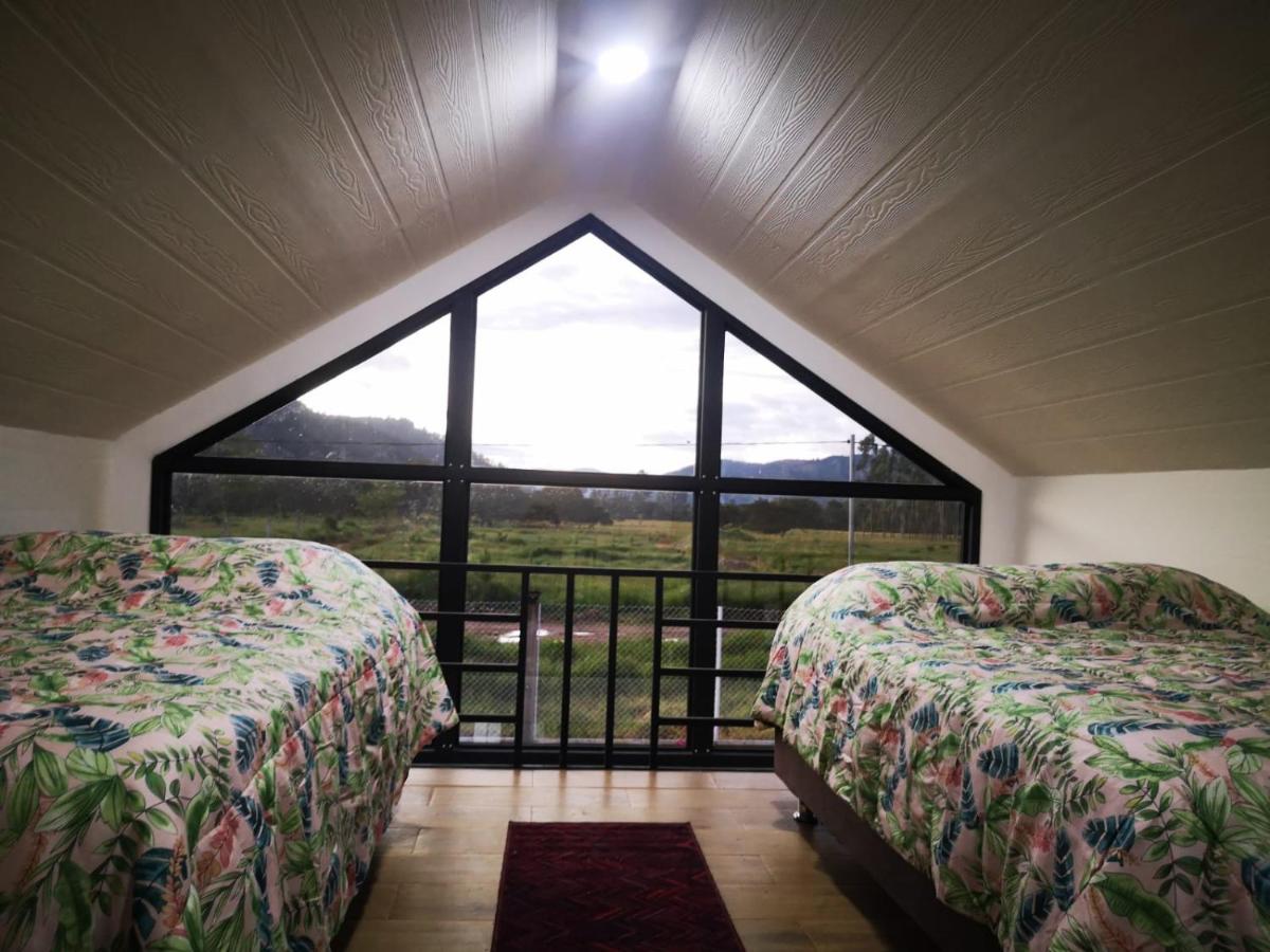 One-Bedroom House photo 3
