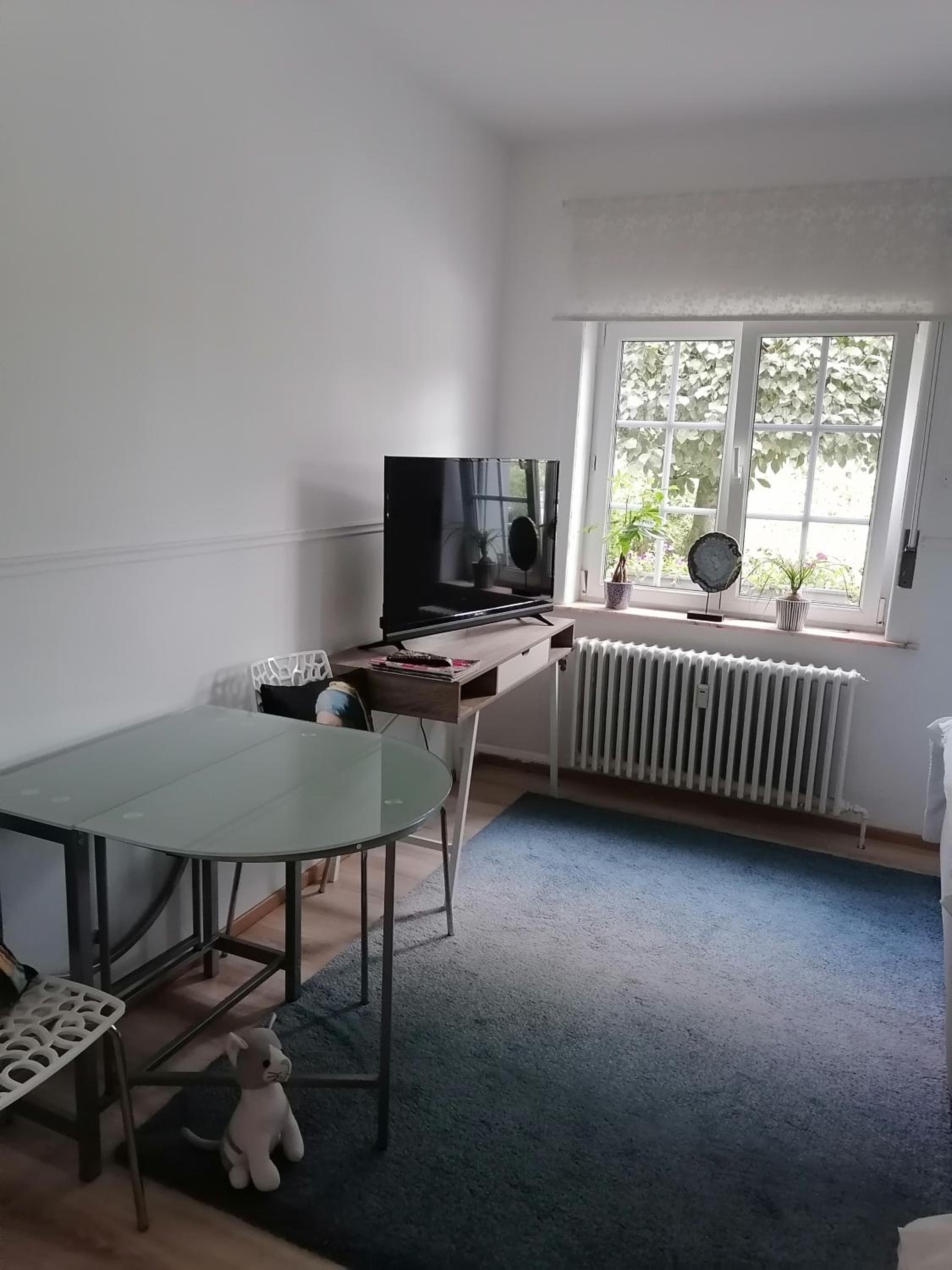 One-Bedroom Apartment - Photo 5