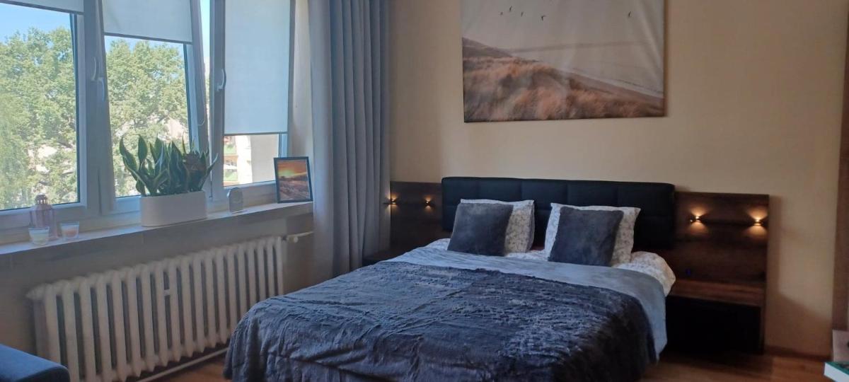 One-Bedroom Apartment - Photo 11