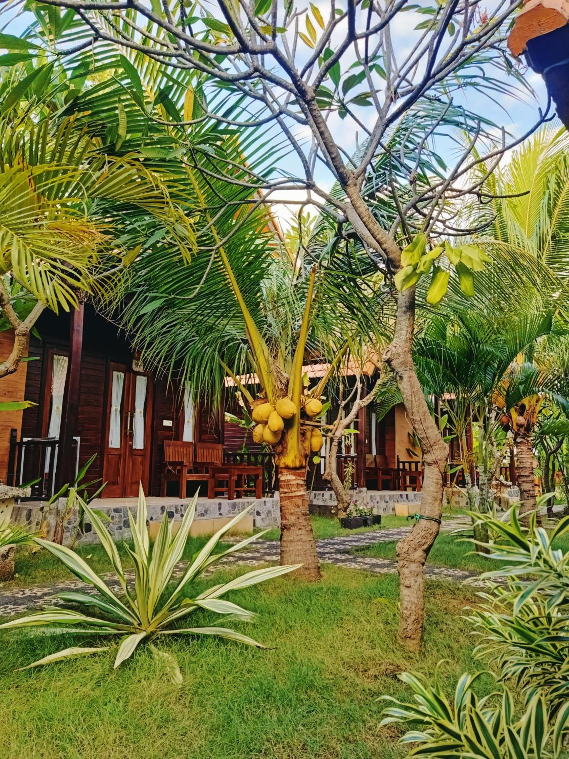 Double Room with Garden View - Photo 8