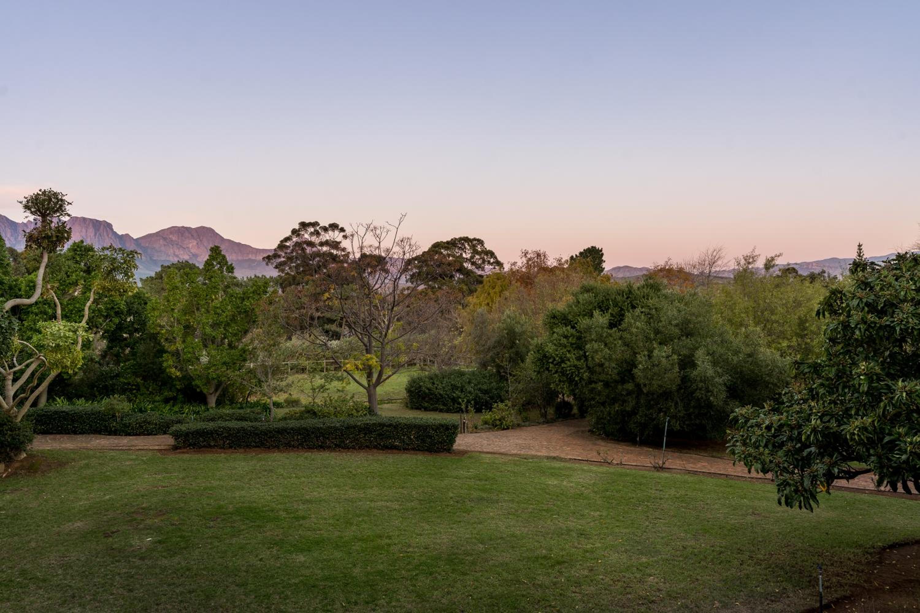 Studio with Garden View photo 3