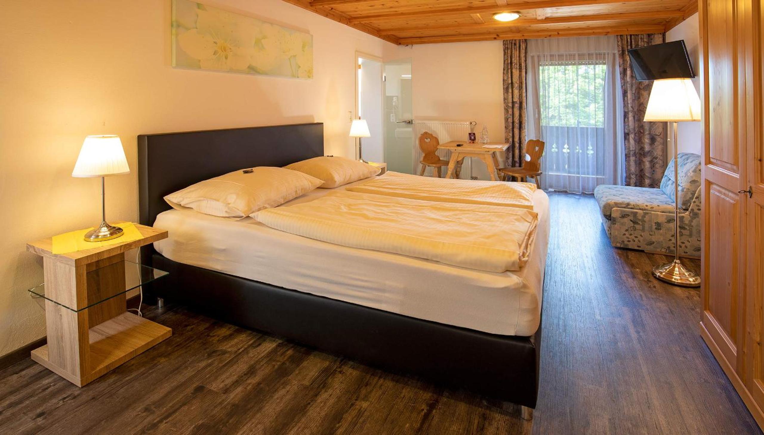 Double or Twin Room with Mountain View