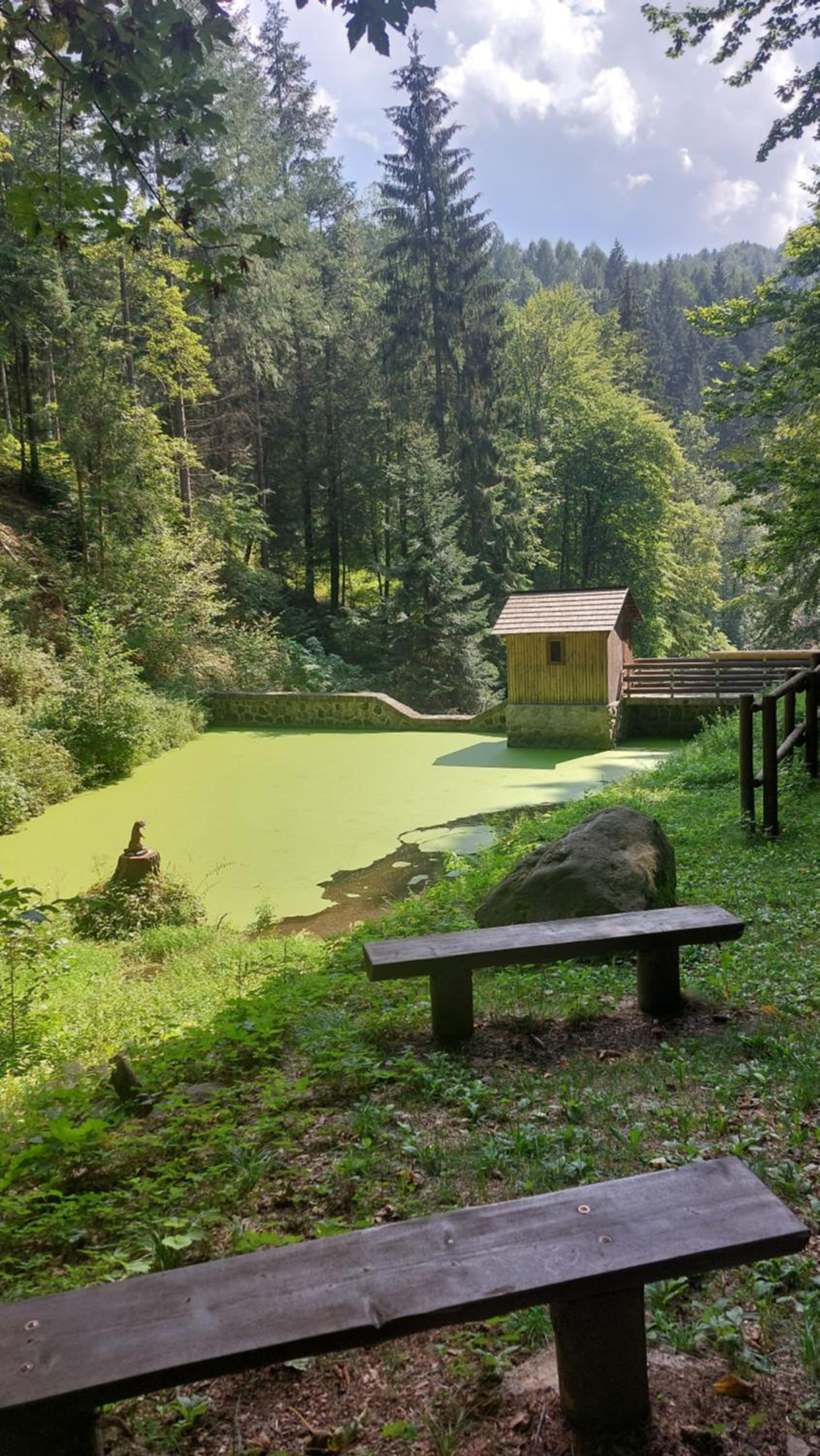 Vacation Home photo 2