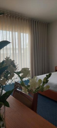 Family Suite (2 Adults + 2 Children) photo 2