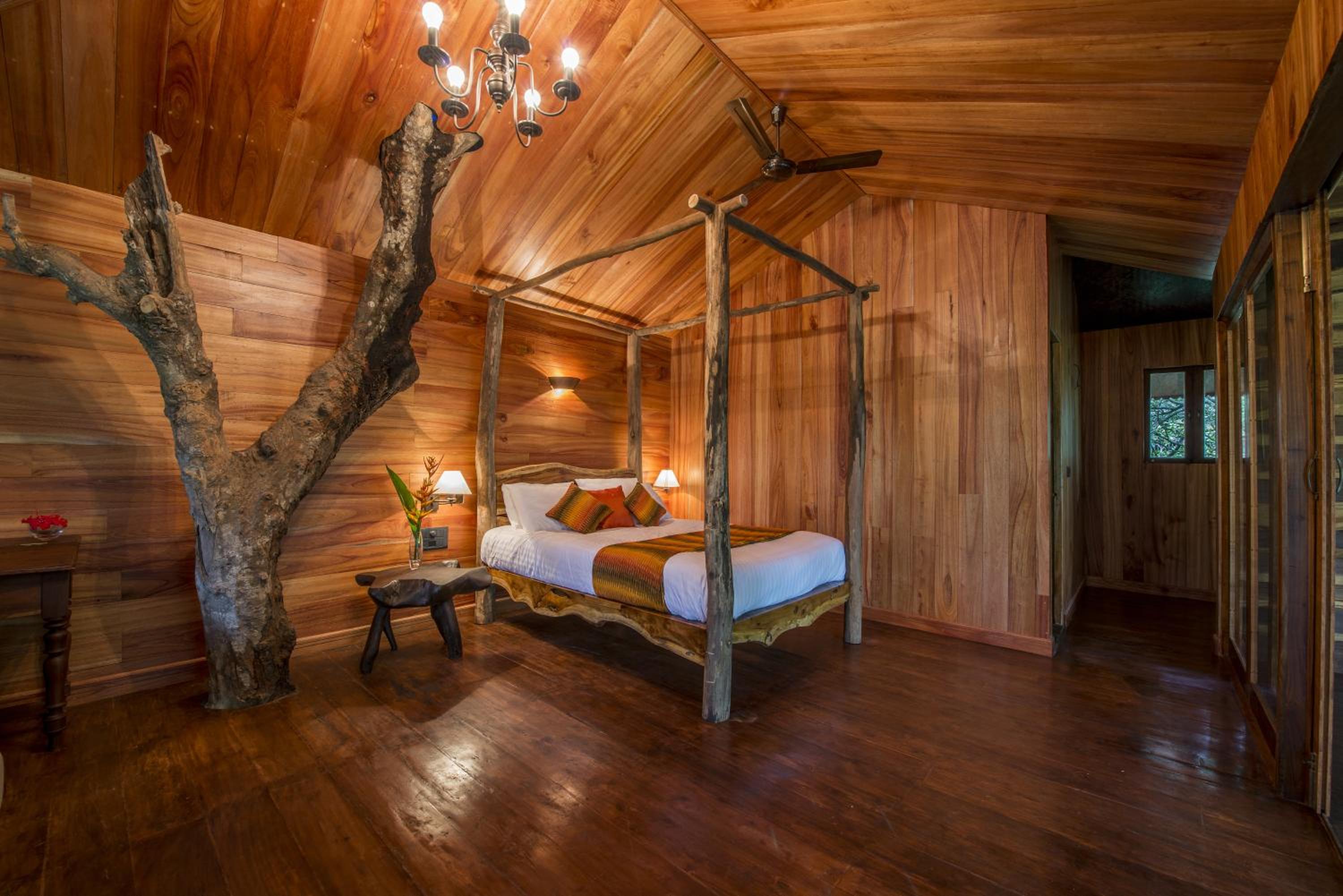 Woodpecker Tree House