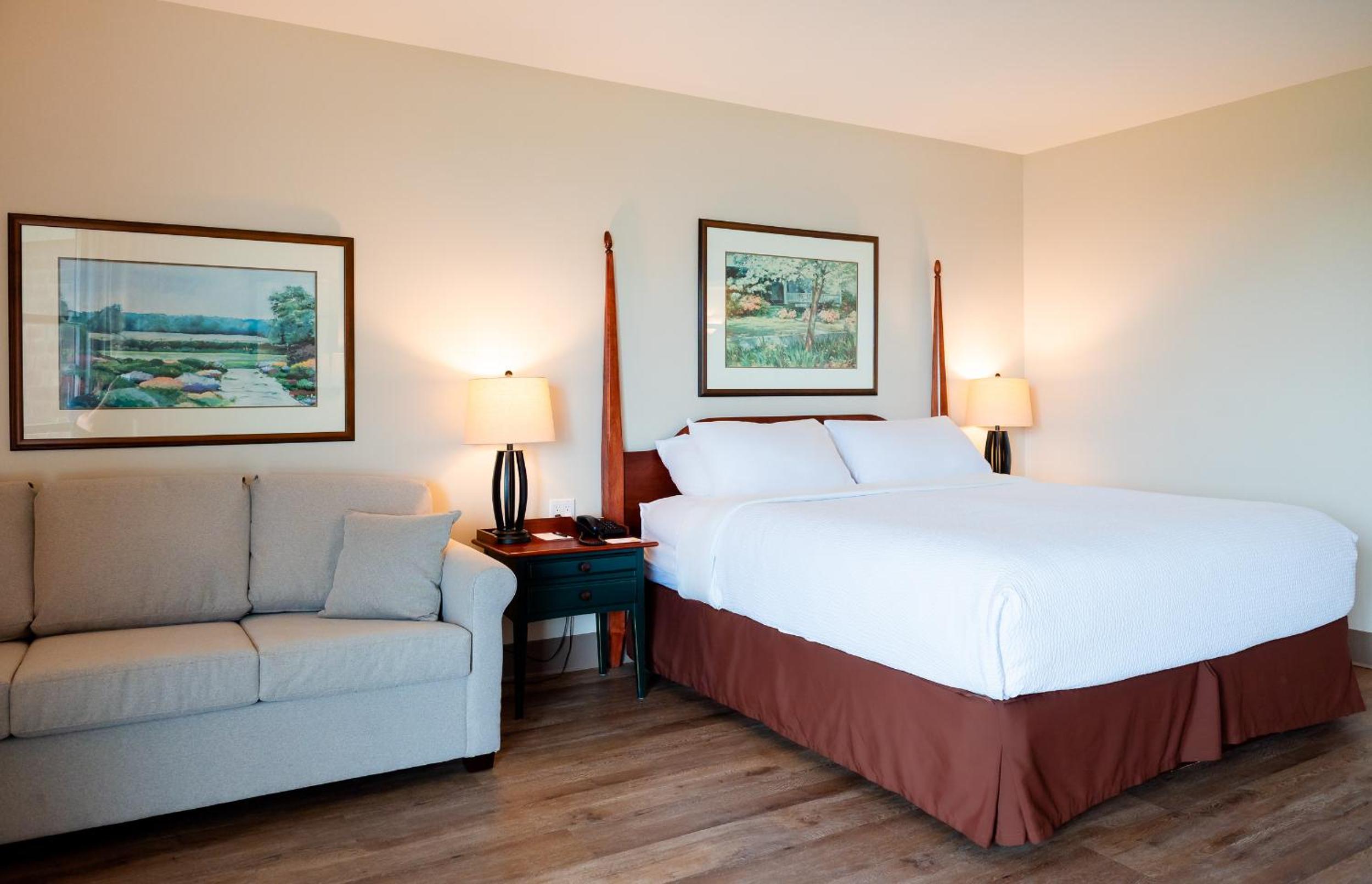 Standard King Room photo 2