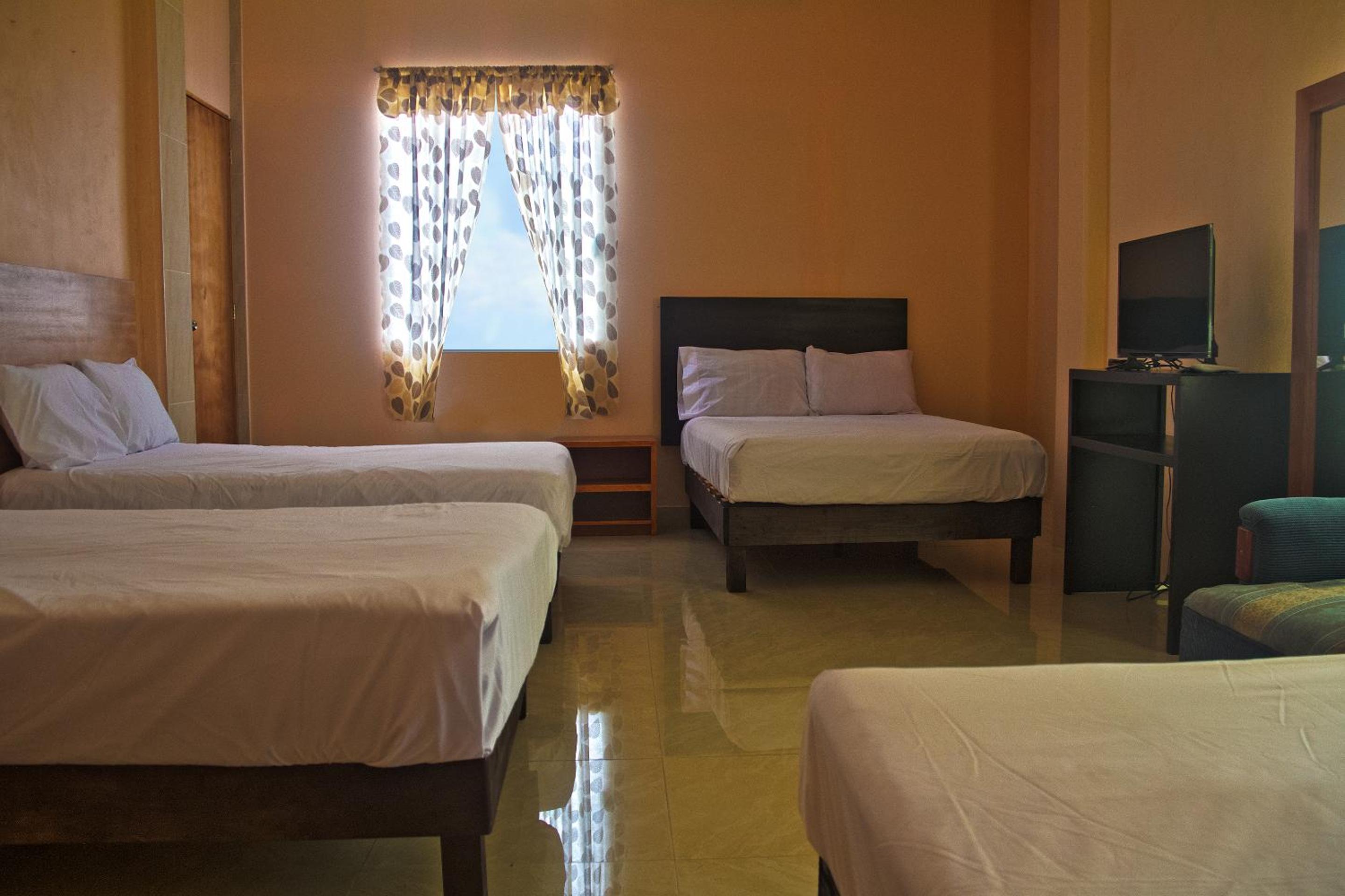 Standard Four Beds - Photo 5