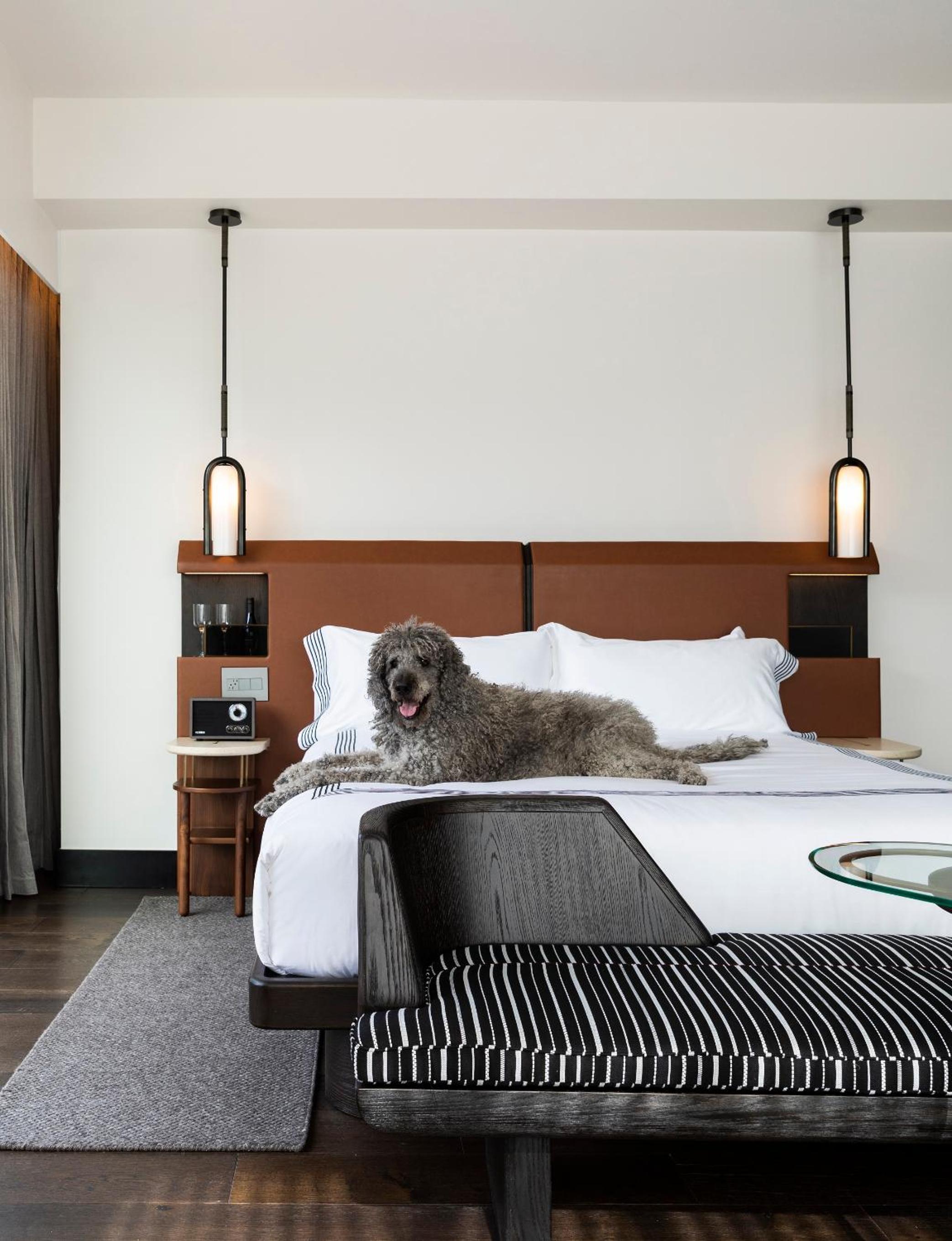 King Room with City View - Photo 18