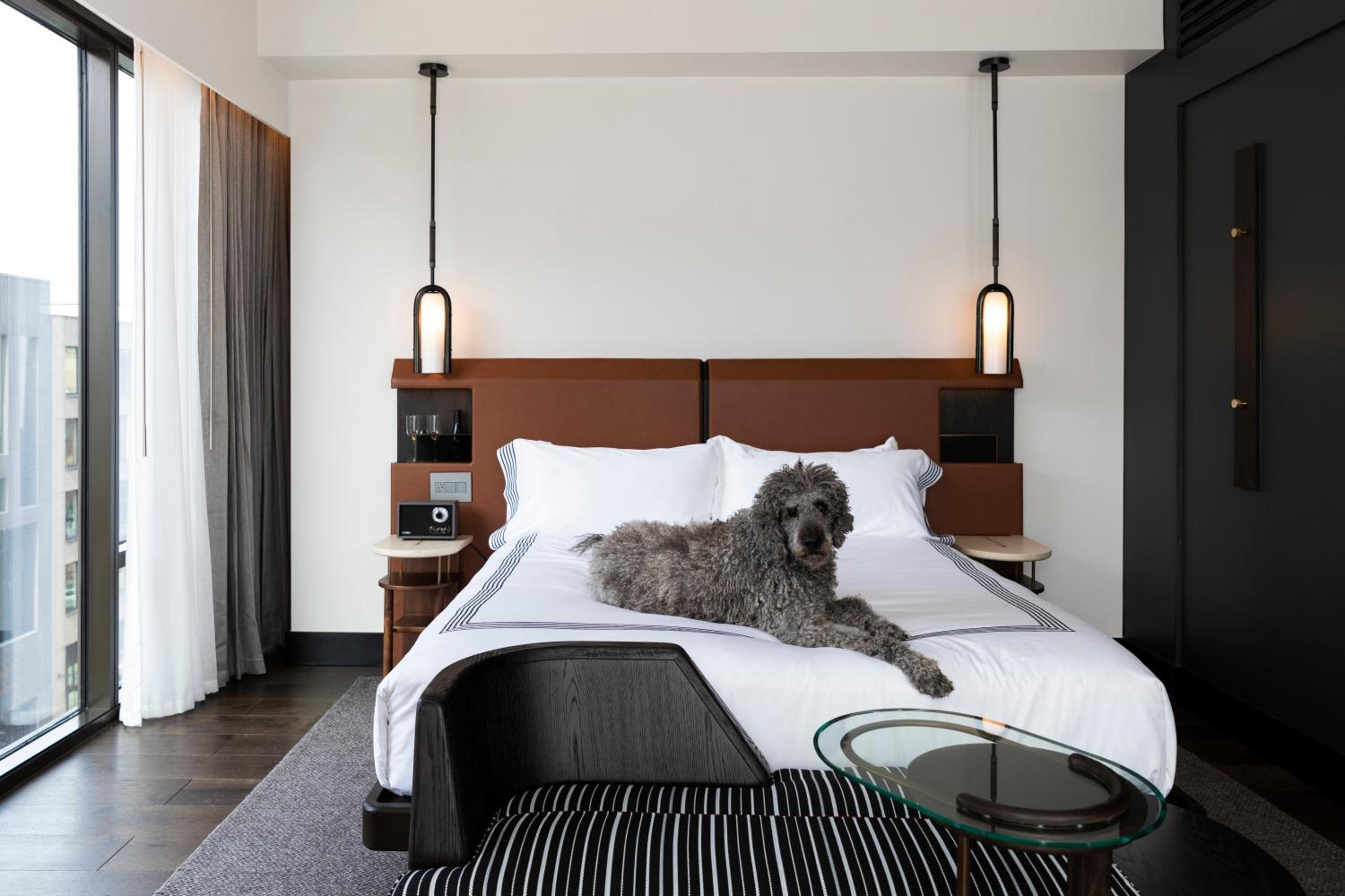 King Room with City View - Photo 17