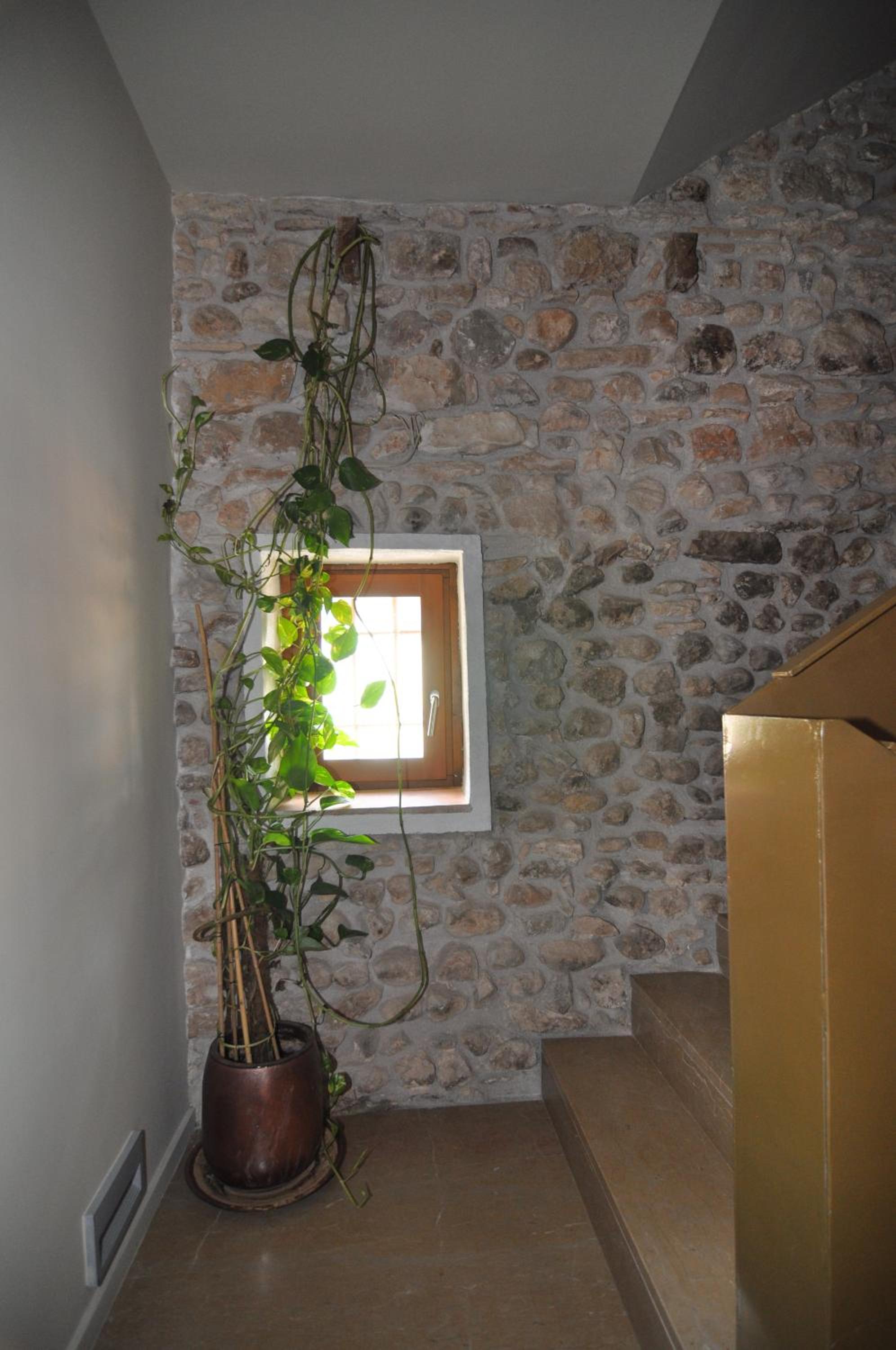 Suite - Photo 2