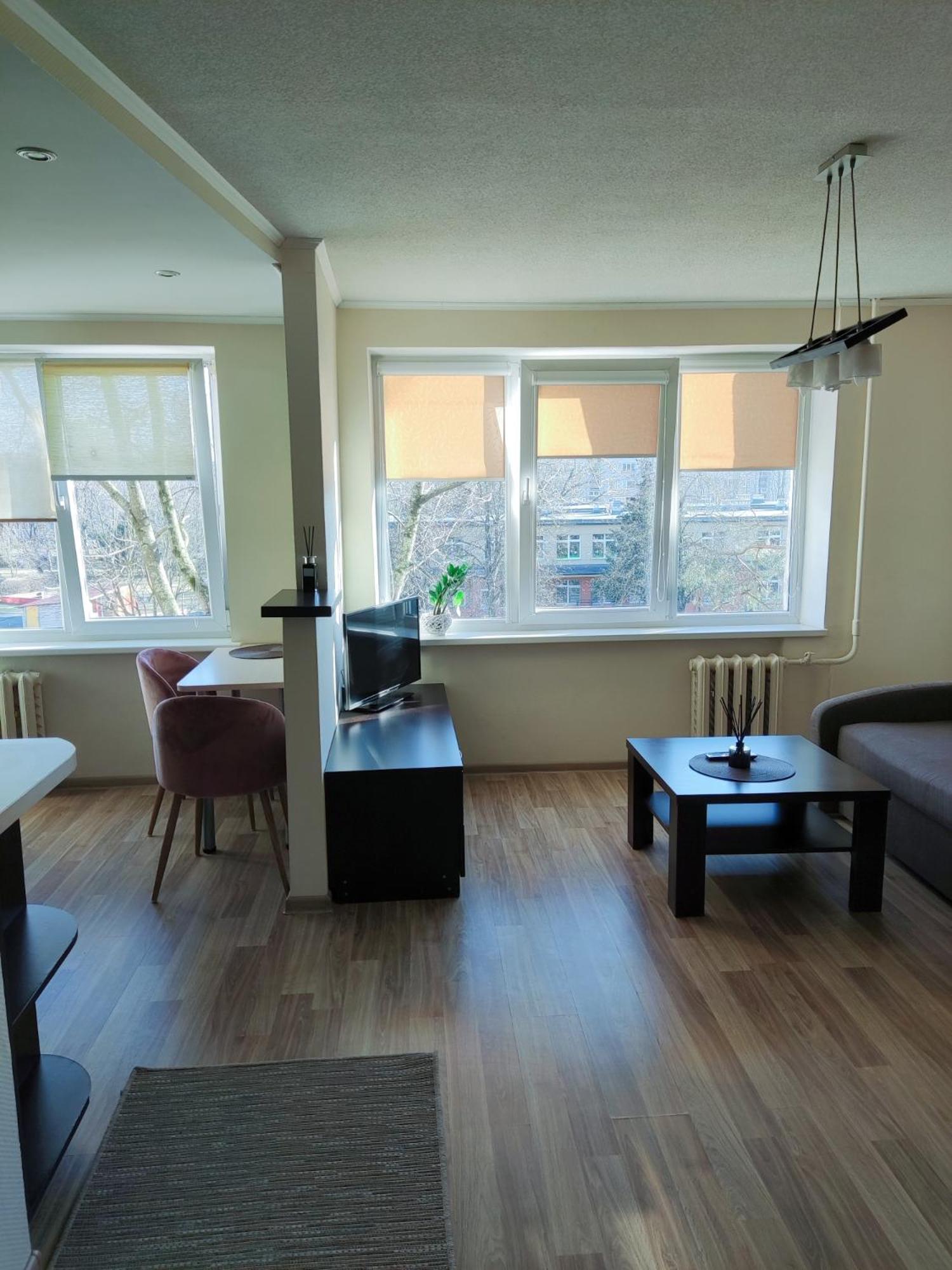 One-Bedroom Apartment photo 3