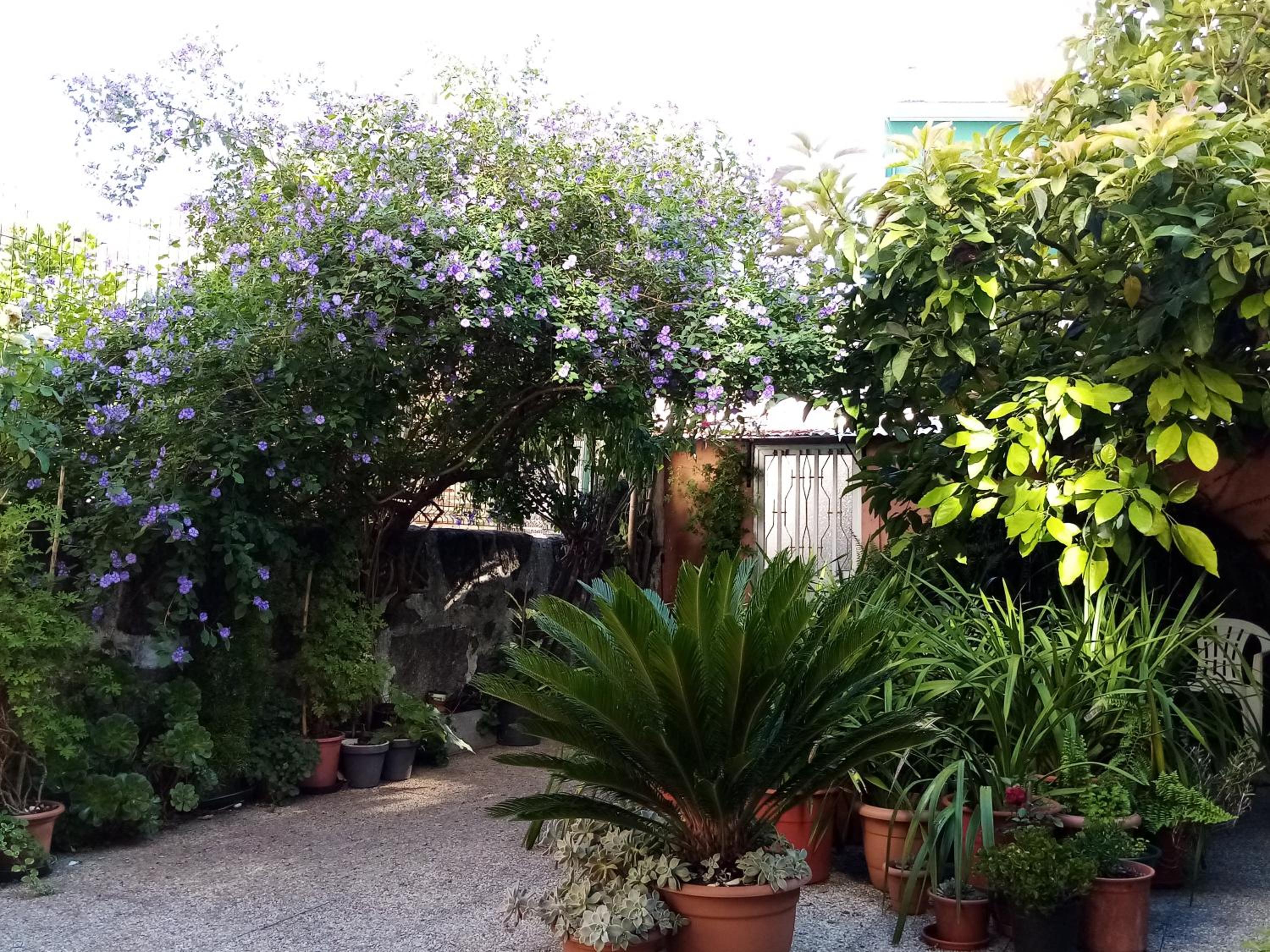 Studio with Terrace - Photo 12