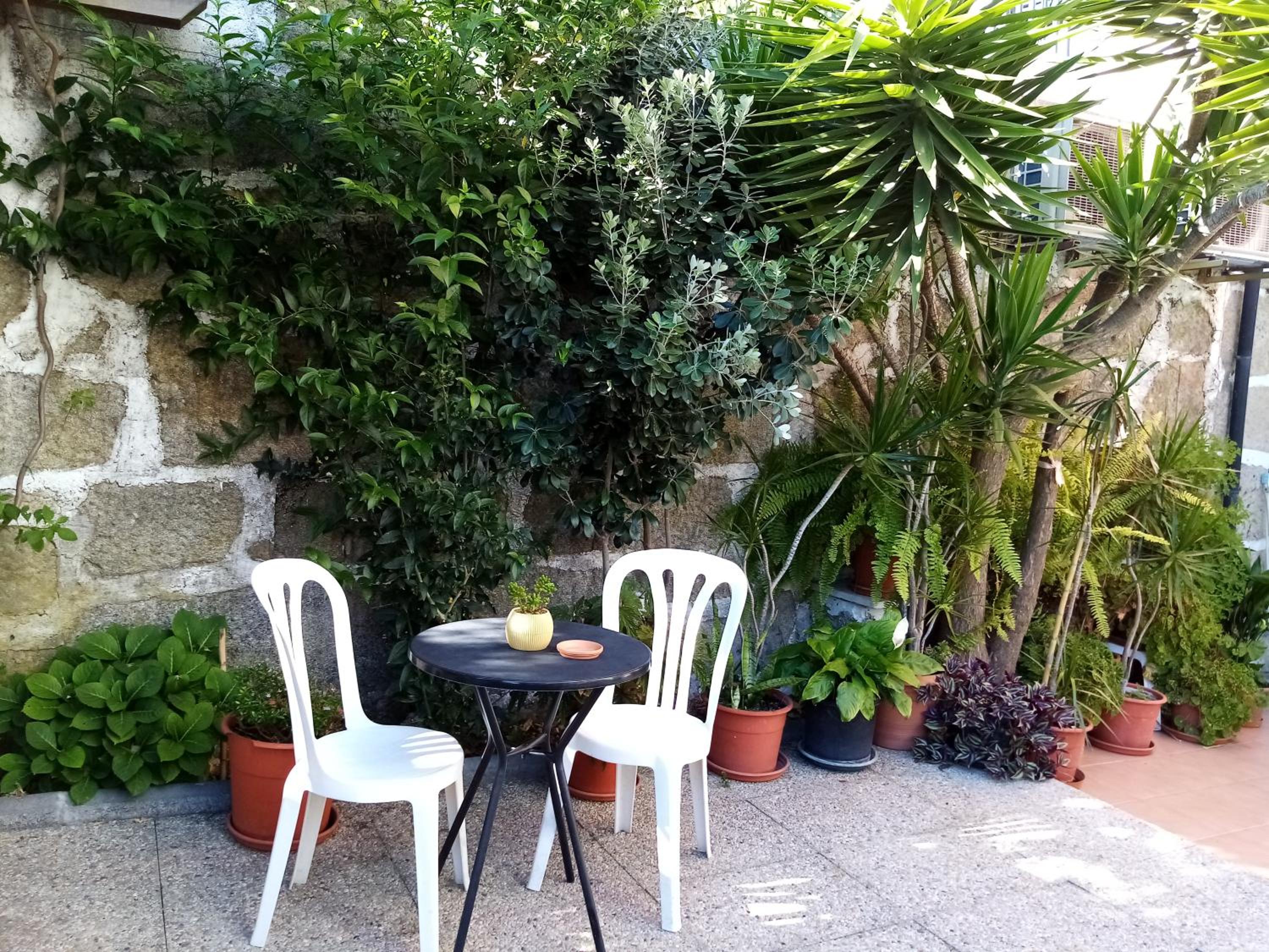 Studio with Terrace - Photo 3