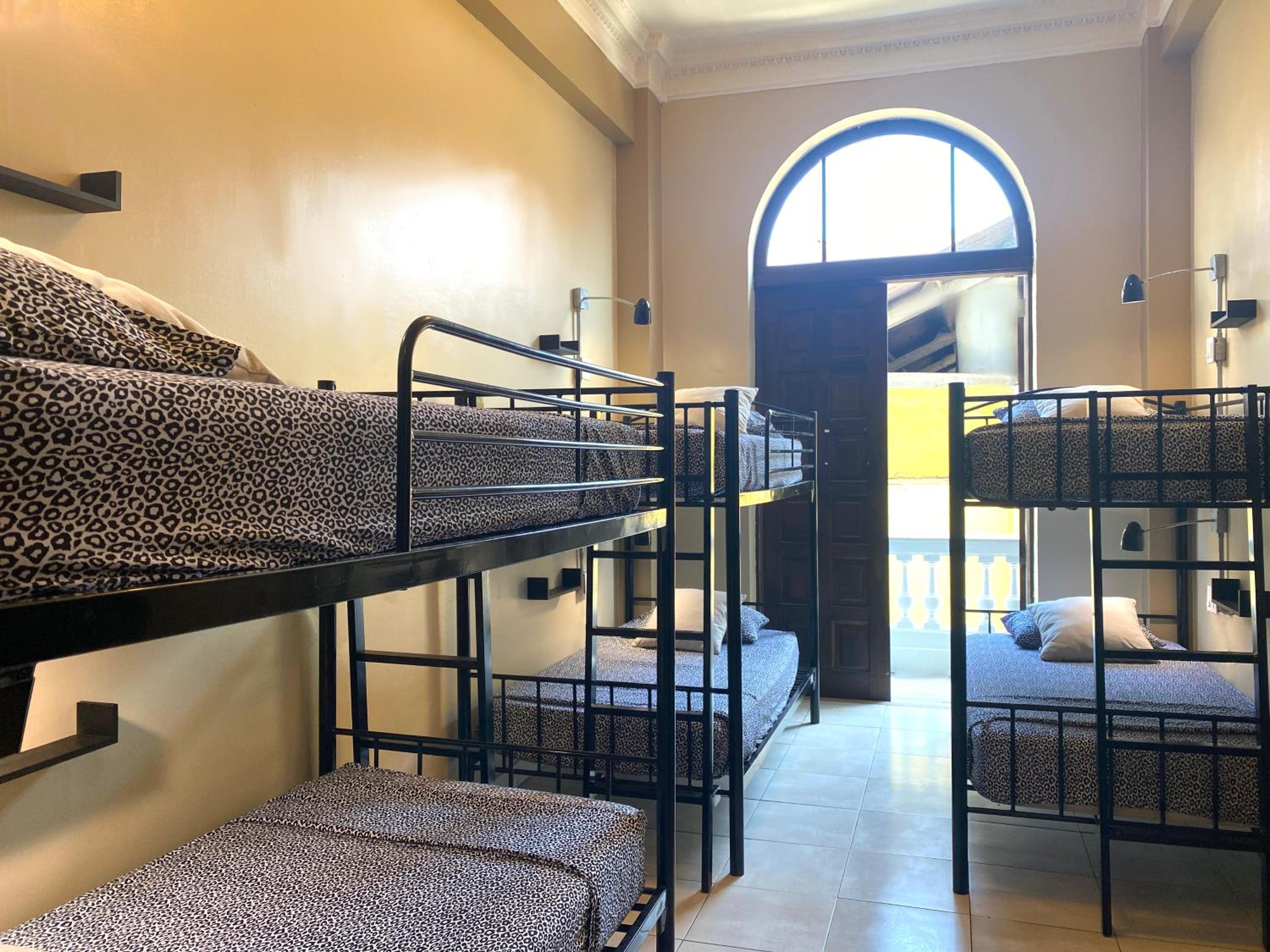 Bed in 6-Bed Mixed Dormitory Room