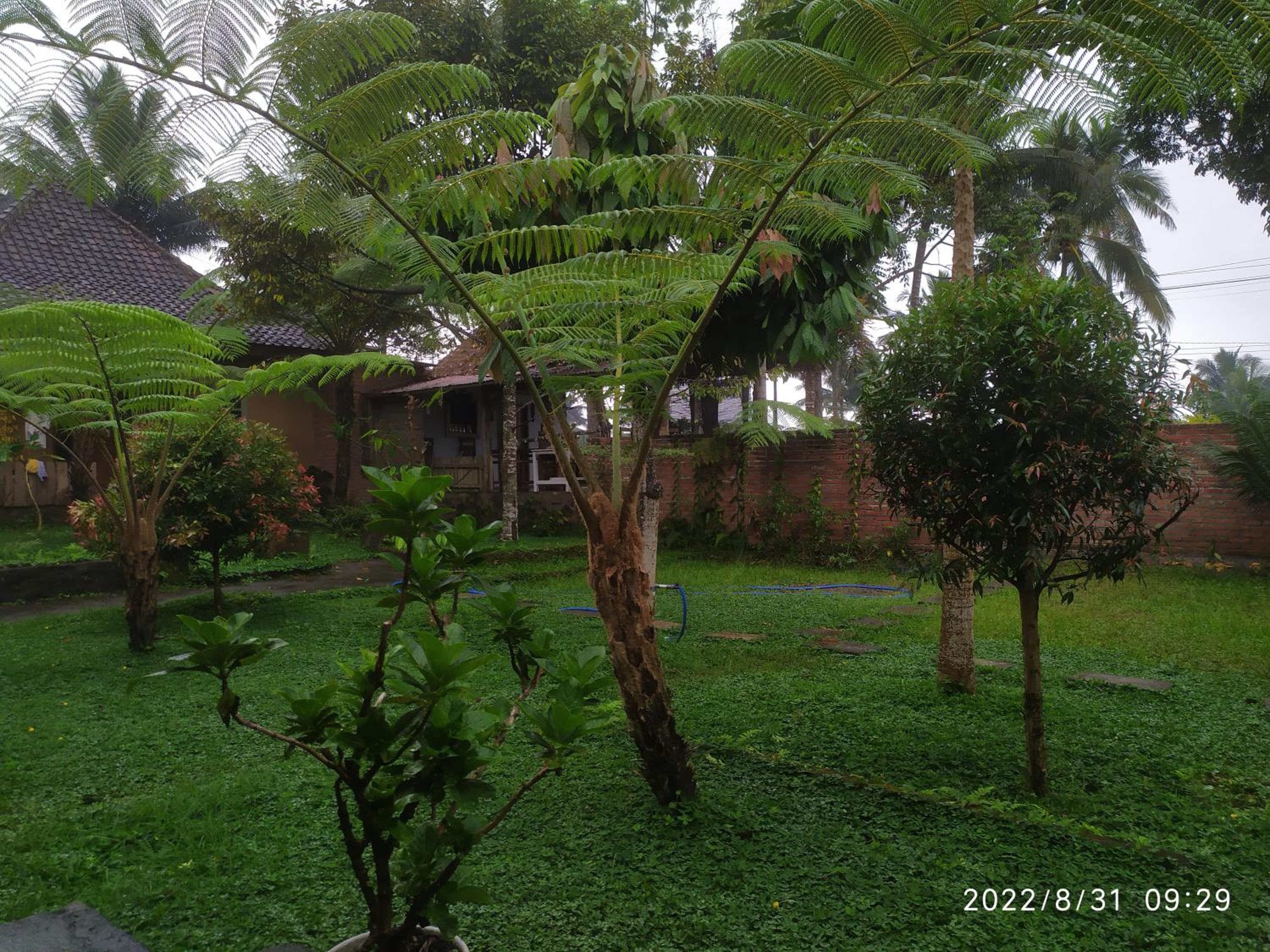 Standard Double Room with Fan - Photo 10