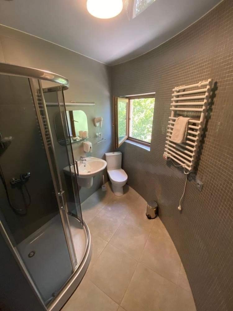 Twin Room photo 3