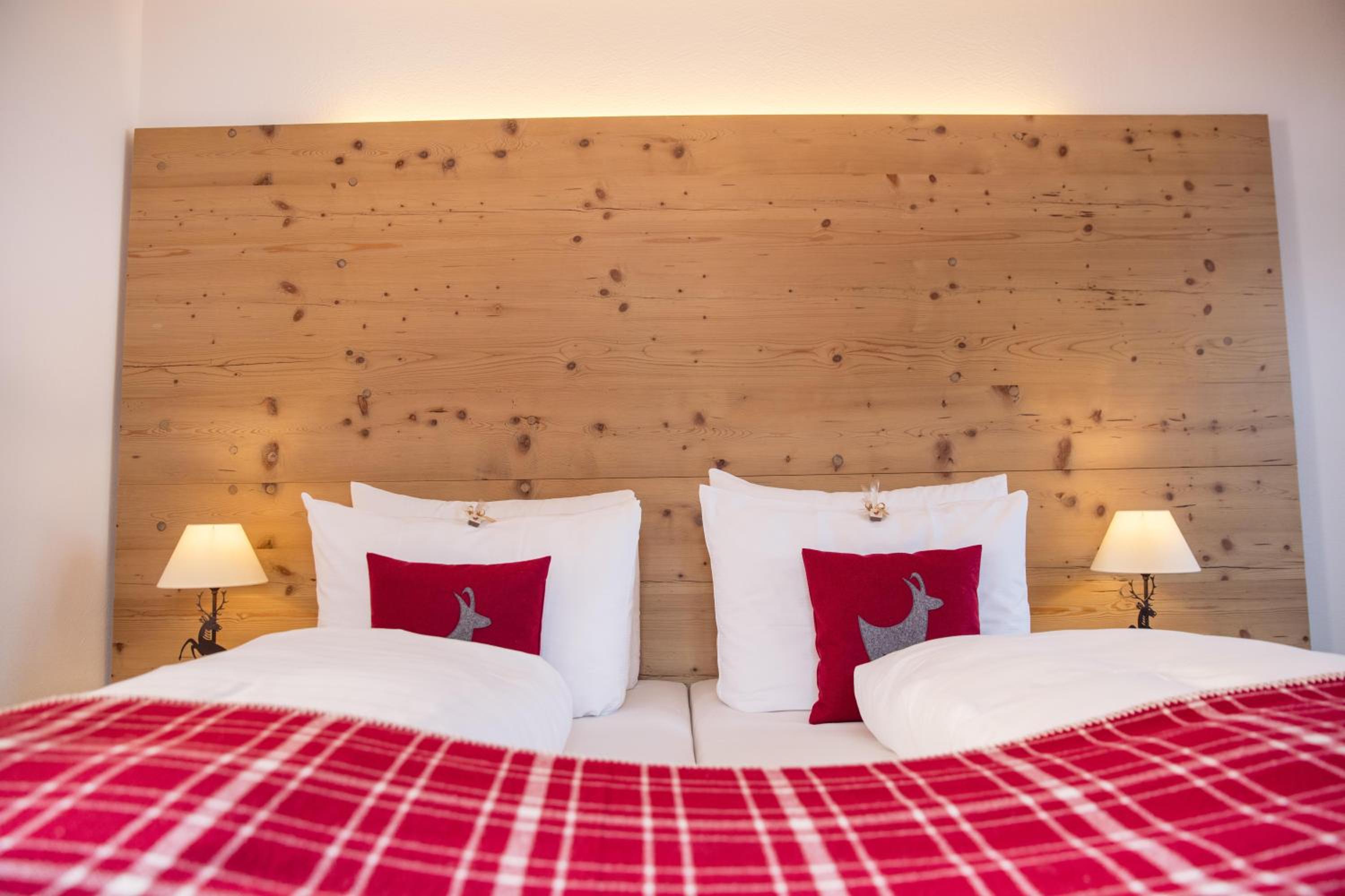 Comfort Double Room with Mountain View - Photo 4