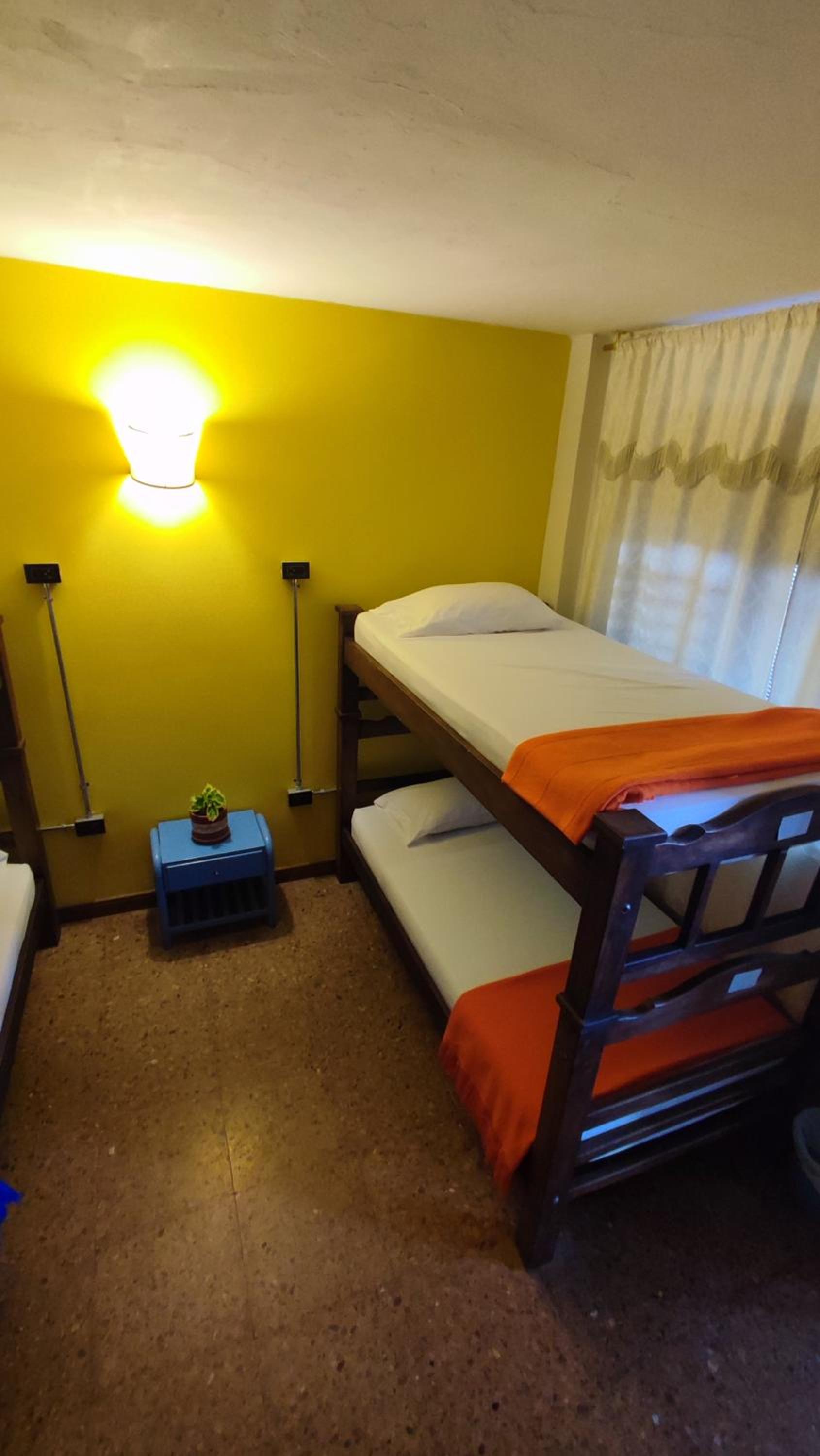 Bed in 4-Bed Female Dormitory Room photo 3