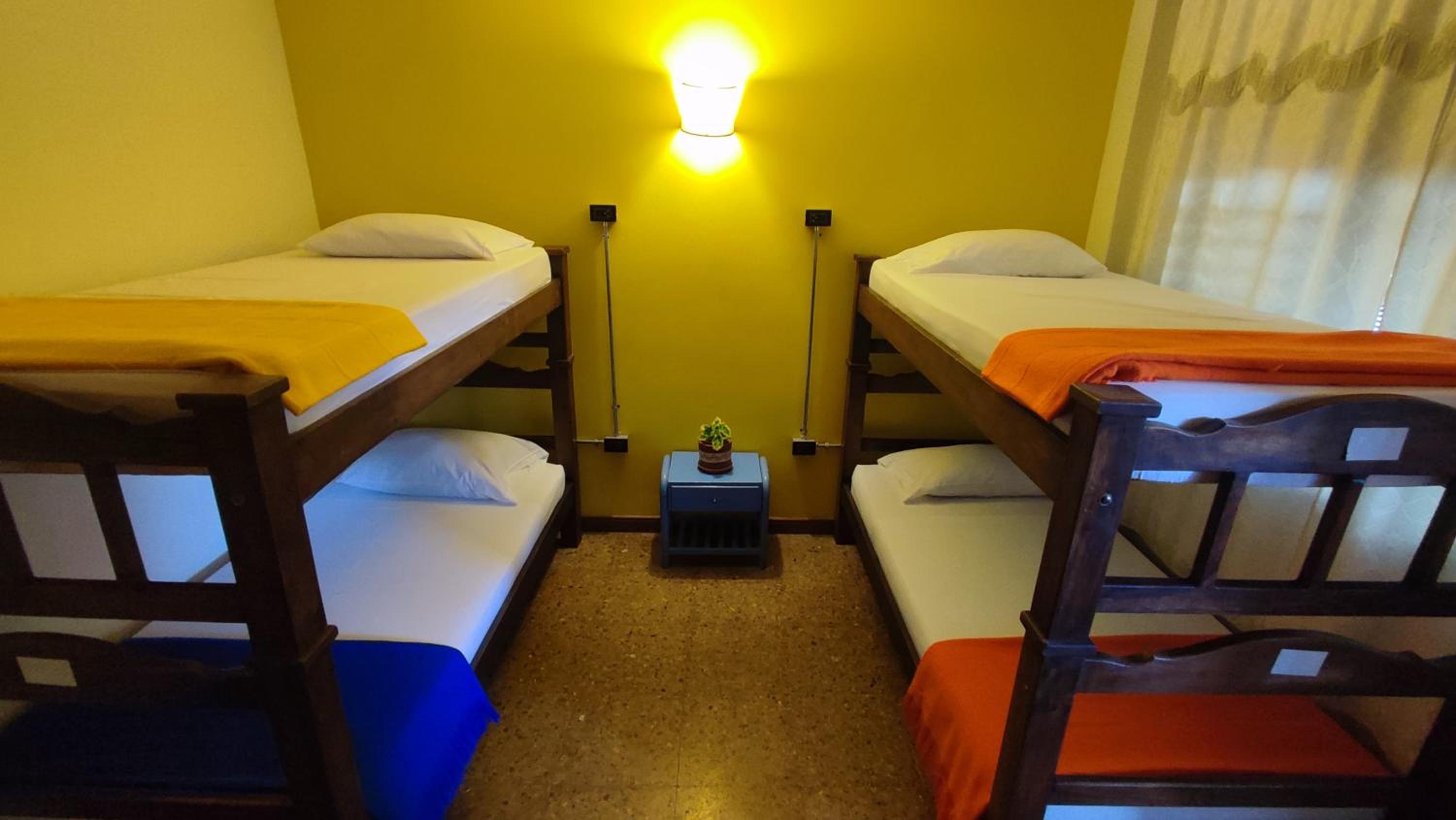 Bed in 4-Bed Female Dormitory Room photo 1