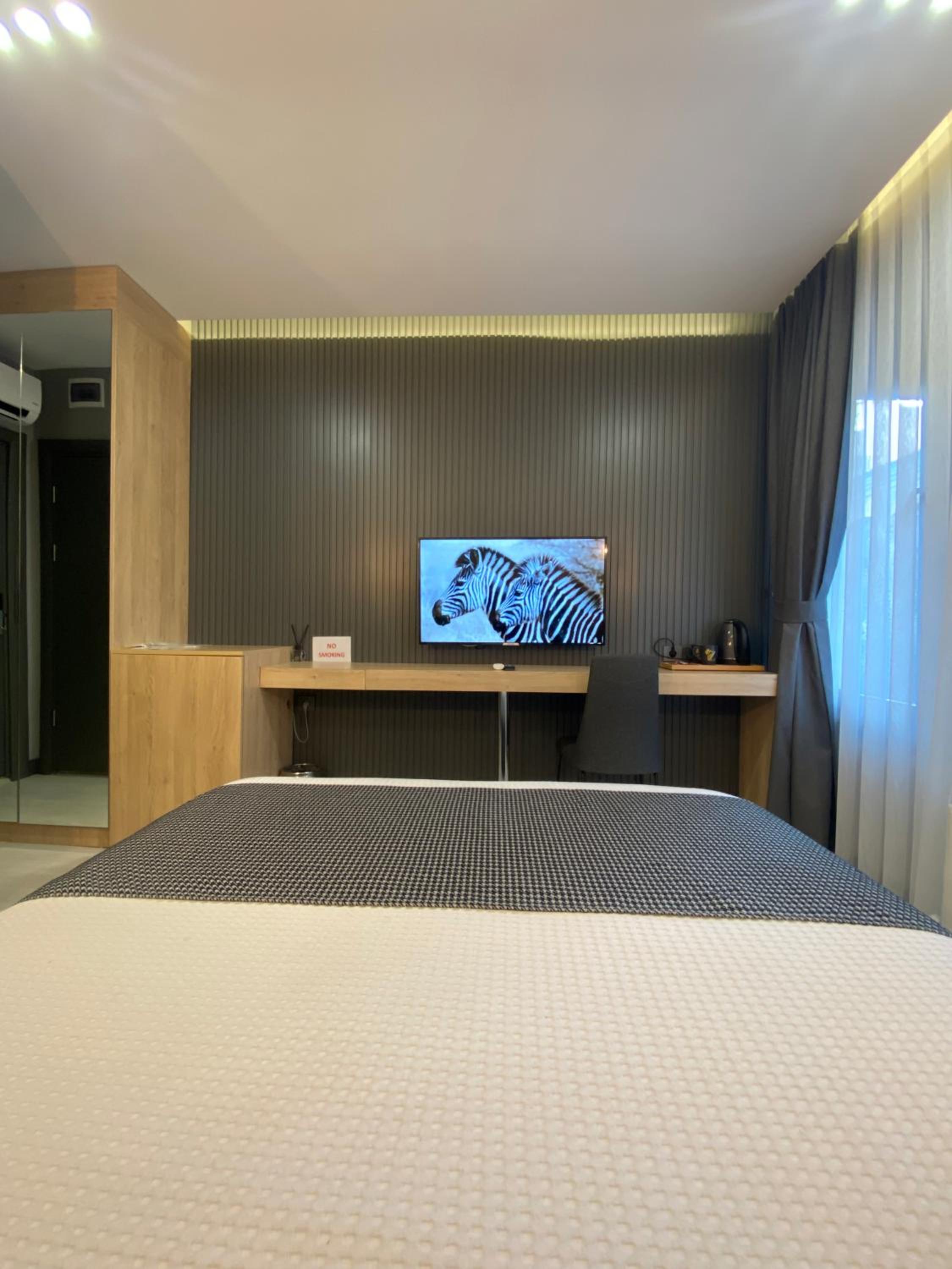 Large Double Room photo 2
