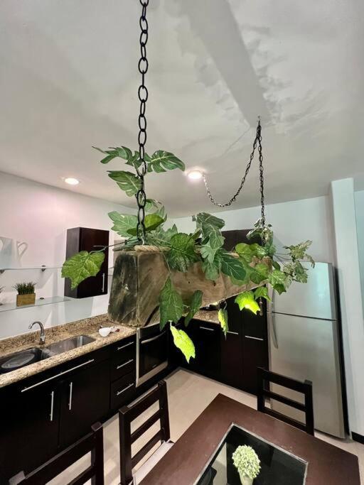 Two-Bedroom Apartment - Photo 15