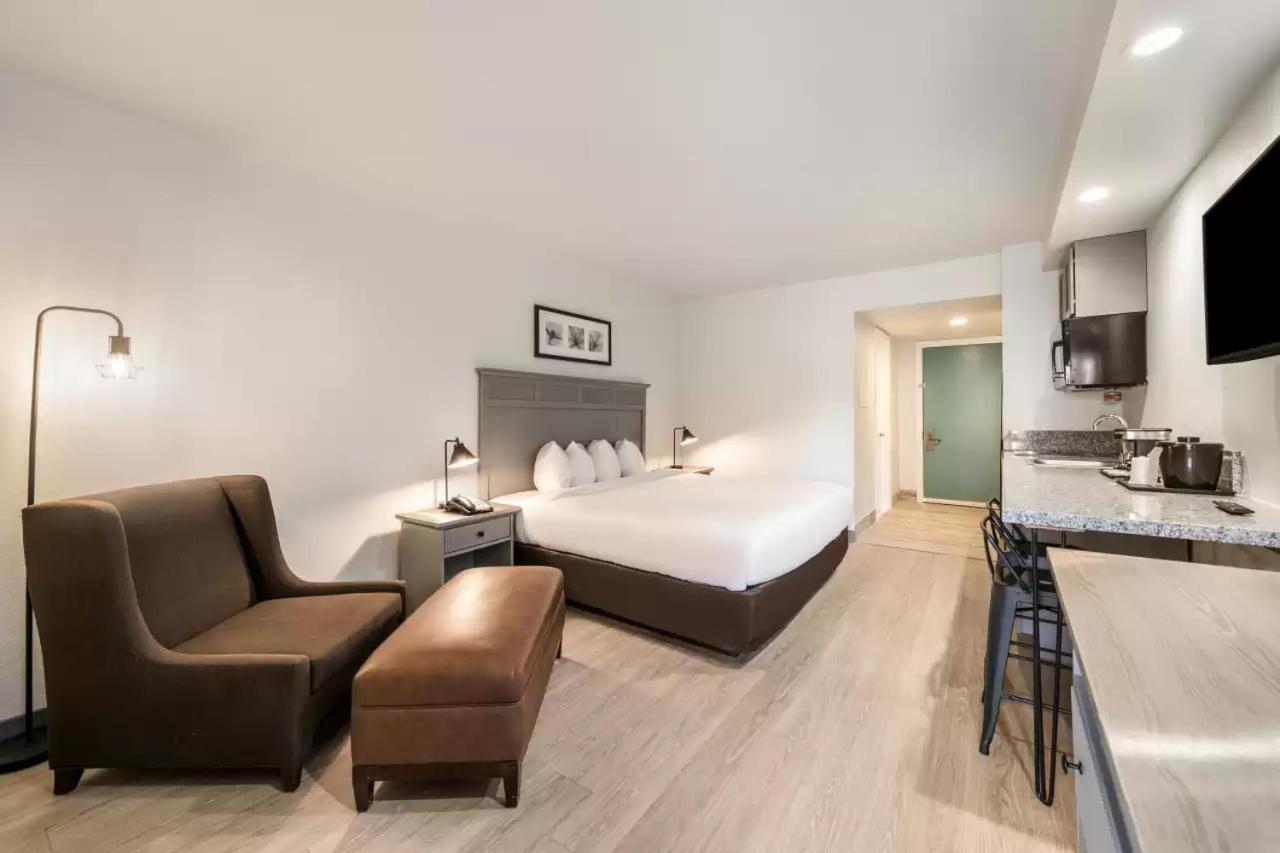 Standard King Room - Non-Smoking  - Photo 1