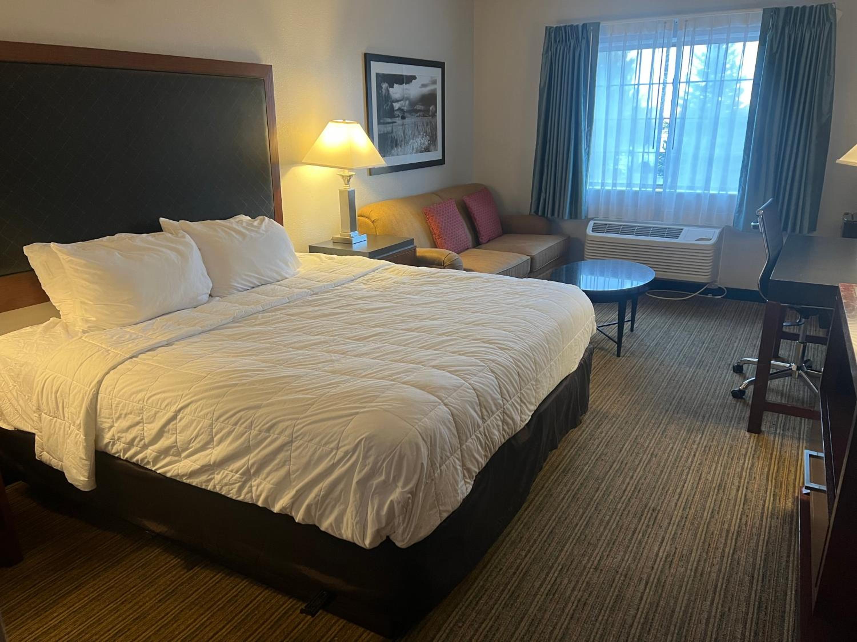 King Room - Non-Smoking - Photo 4
