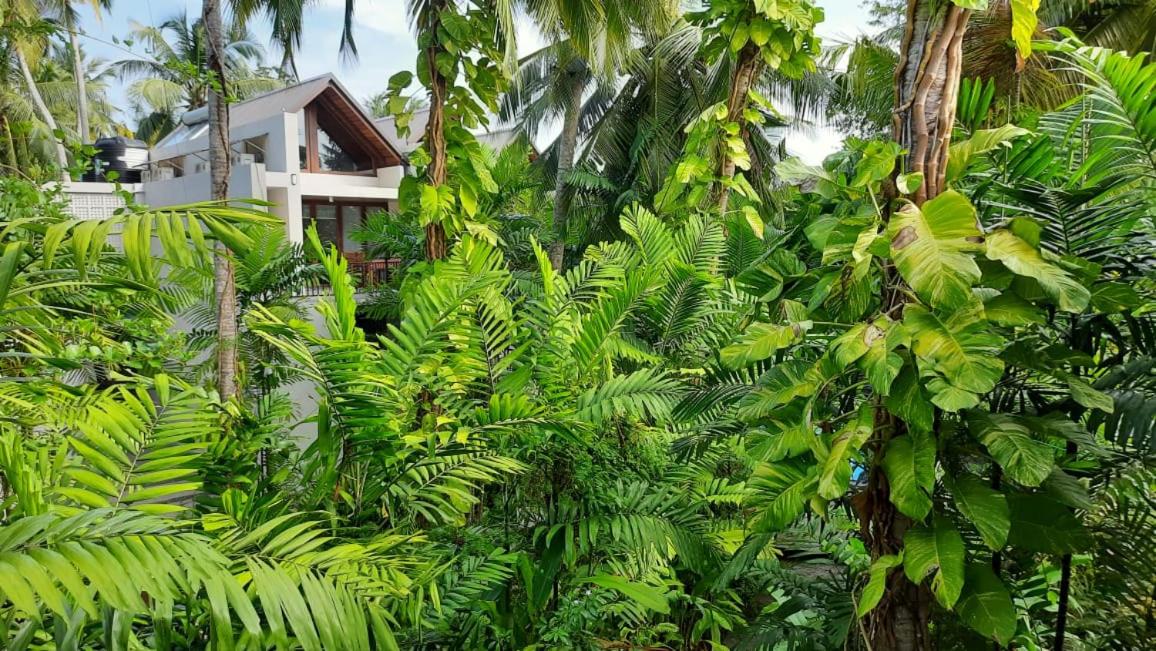 Superior Villa