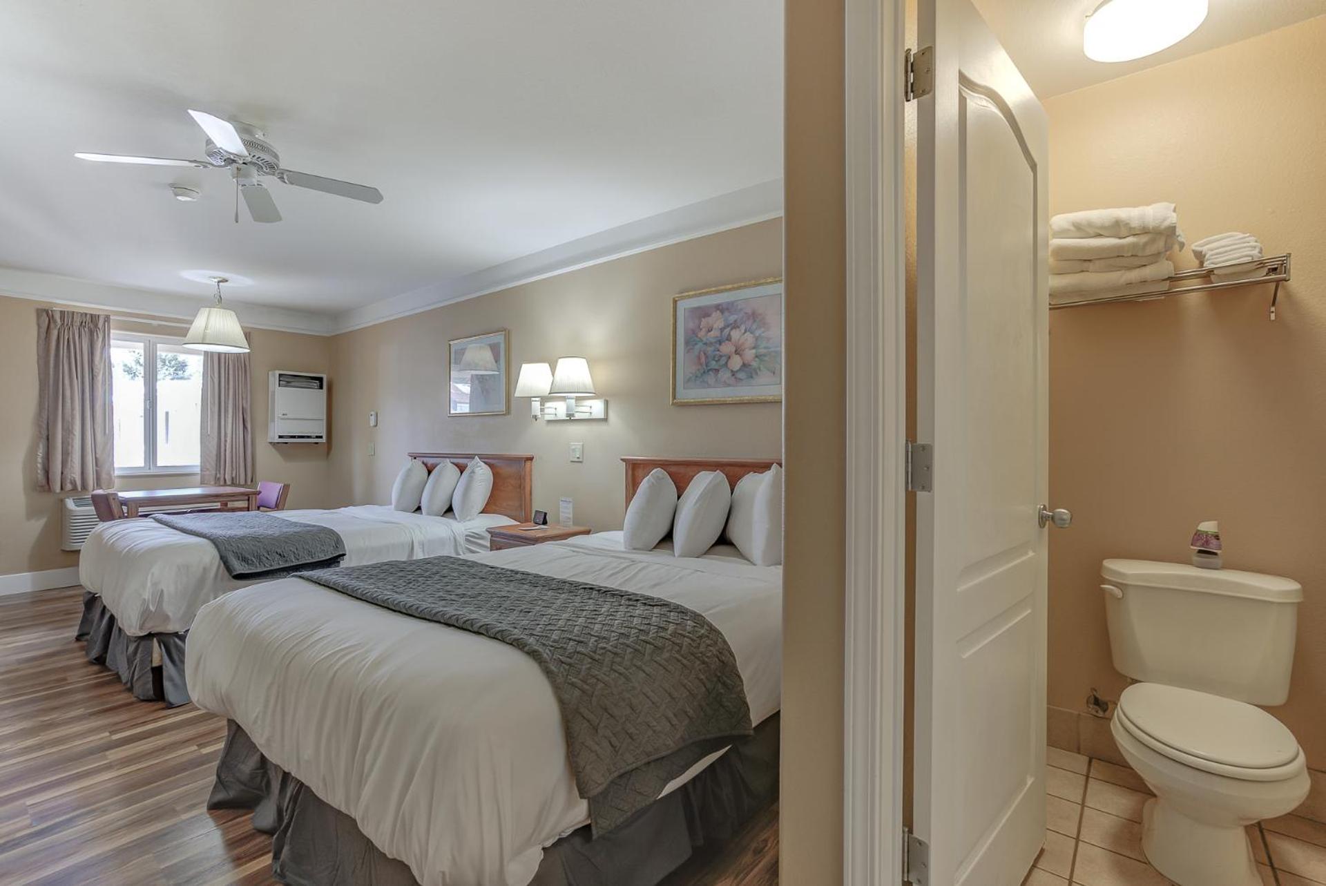 Deluxe Double Room photo 3