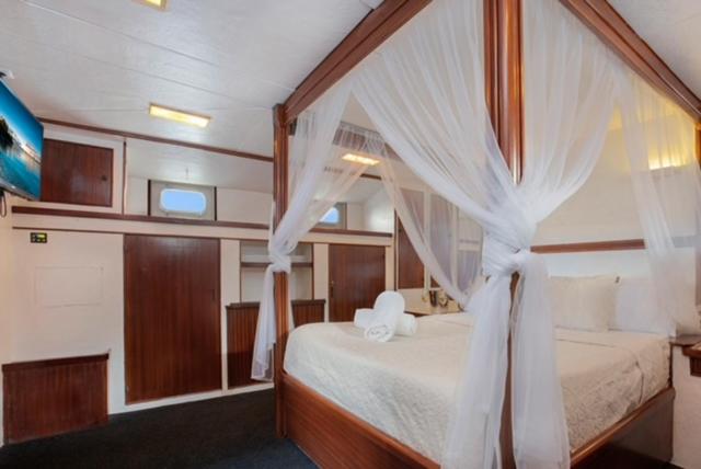 Caravan photo 2