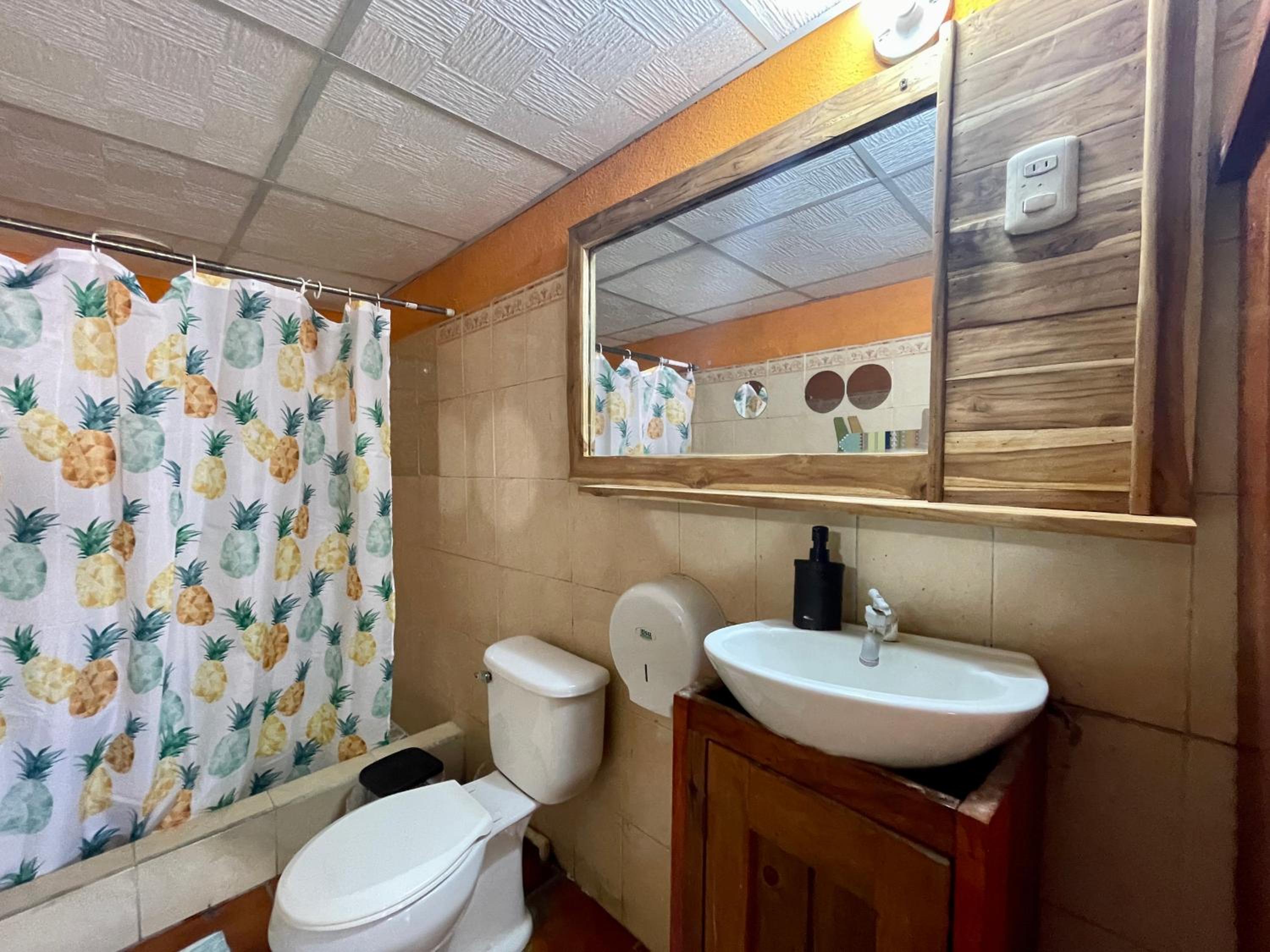 Three-Bedroom Chalet photo 3